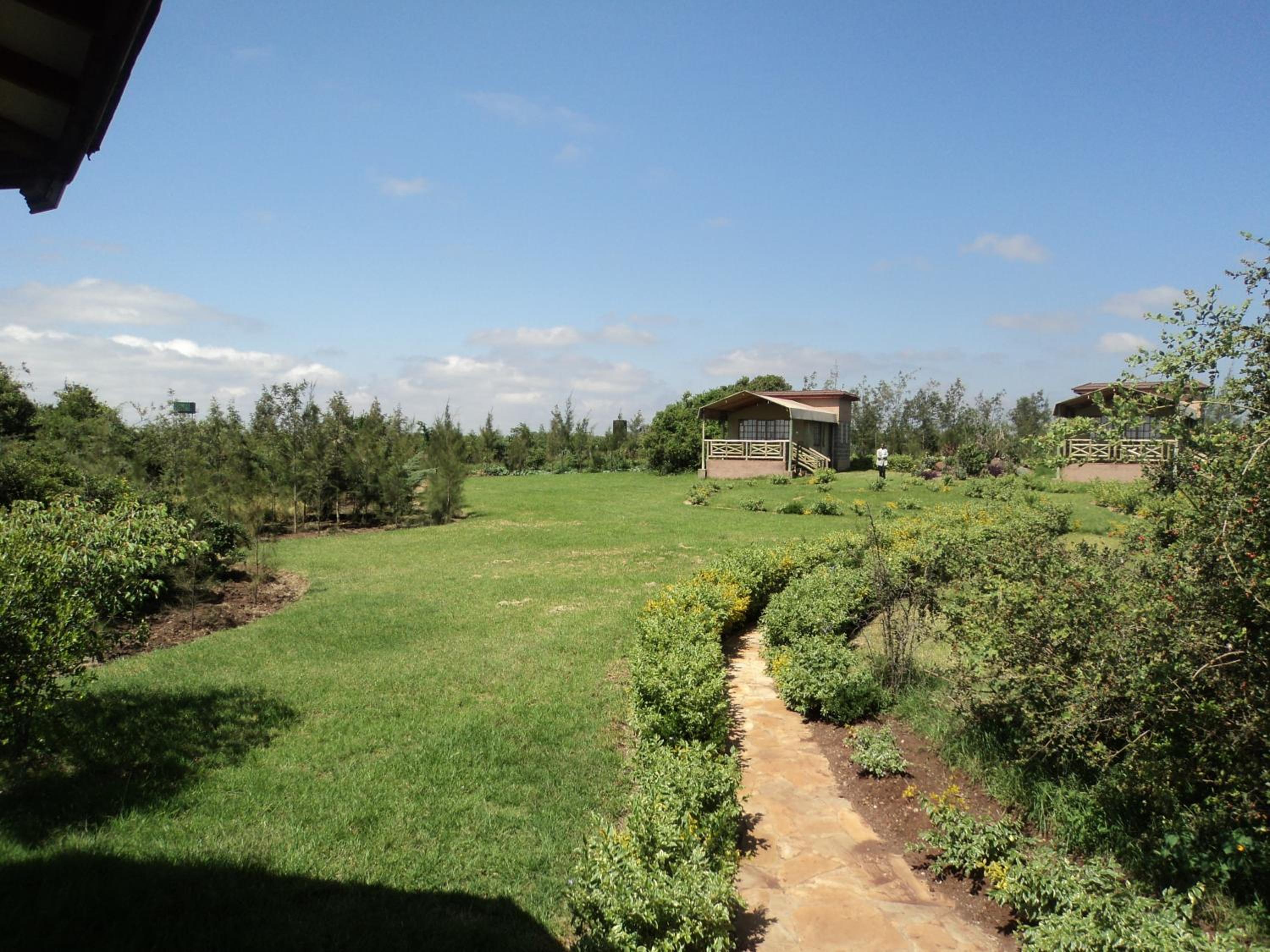 Sangare Gardens by Nest & Nomad
