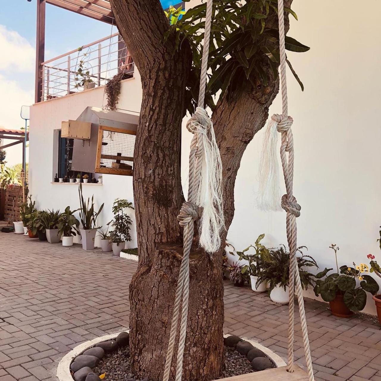 Finca Pedra Molar