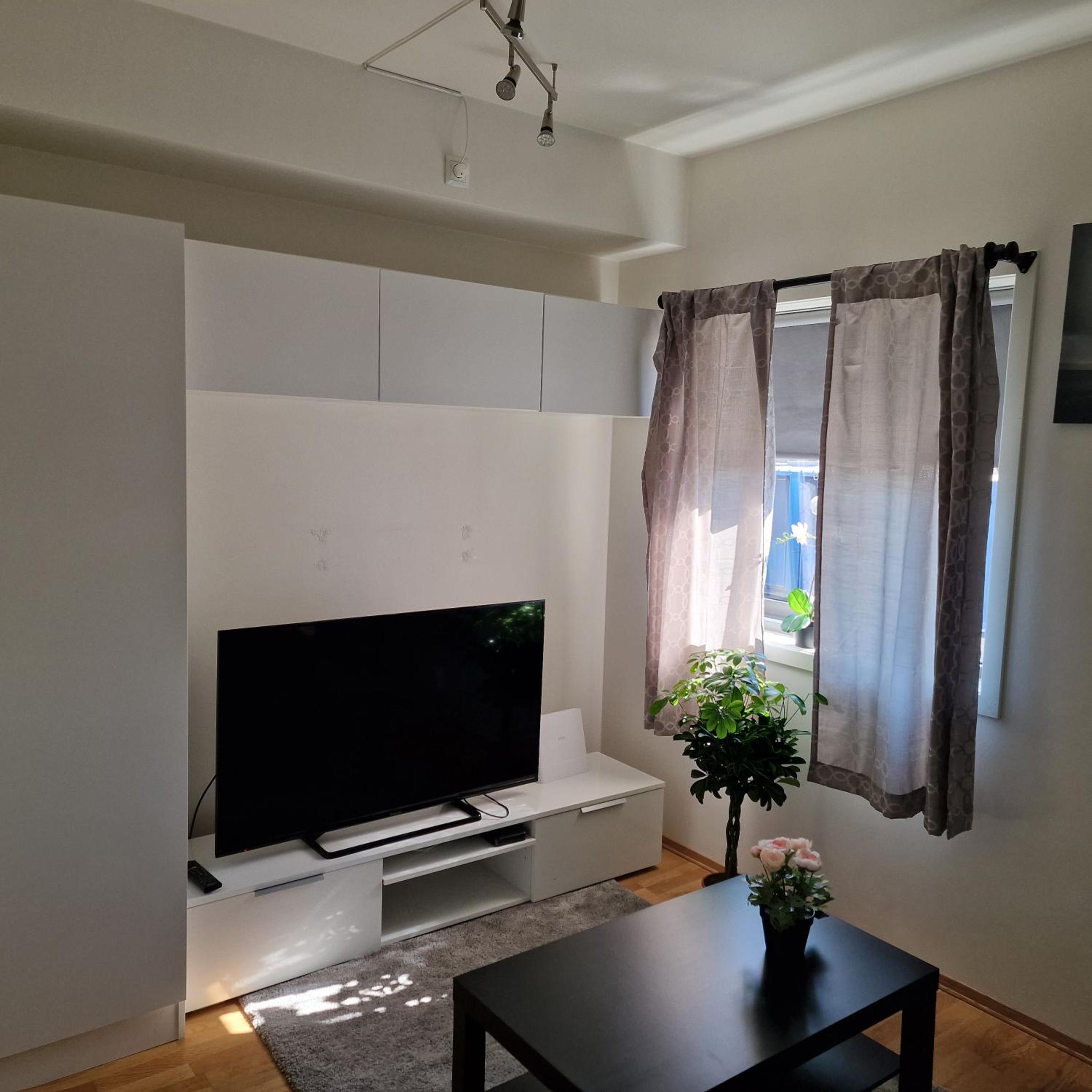 Spacious 1 bedroom apartment view 2