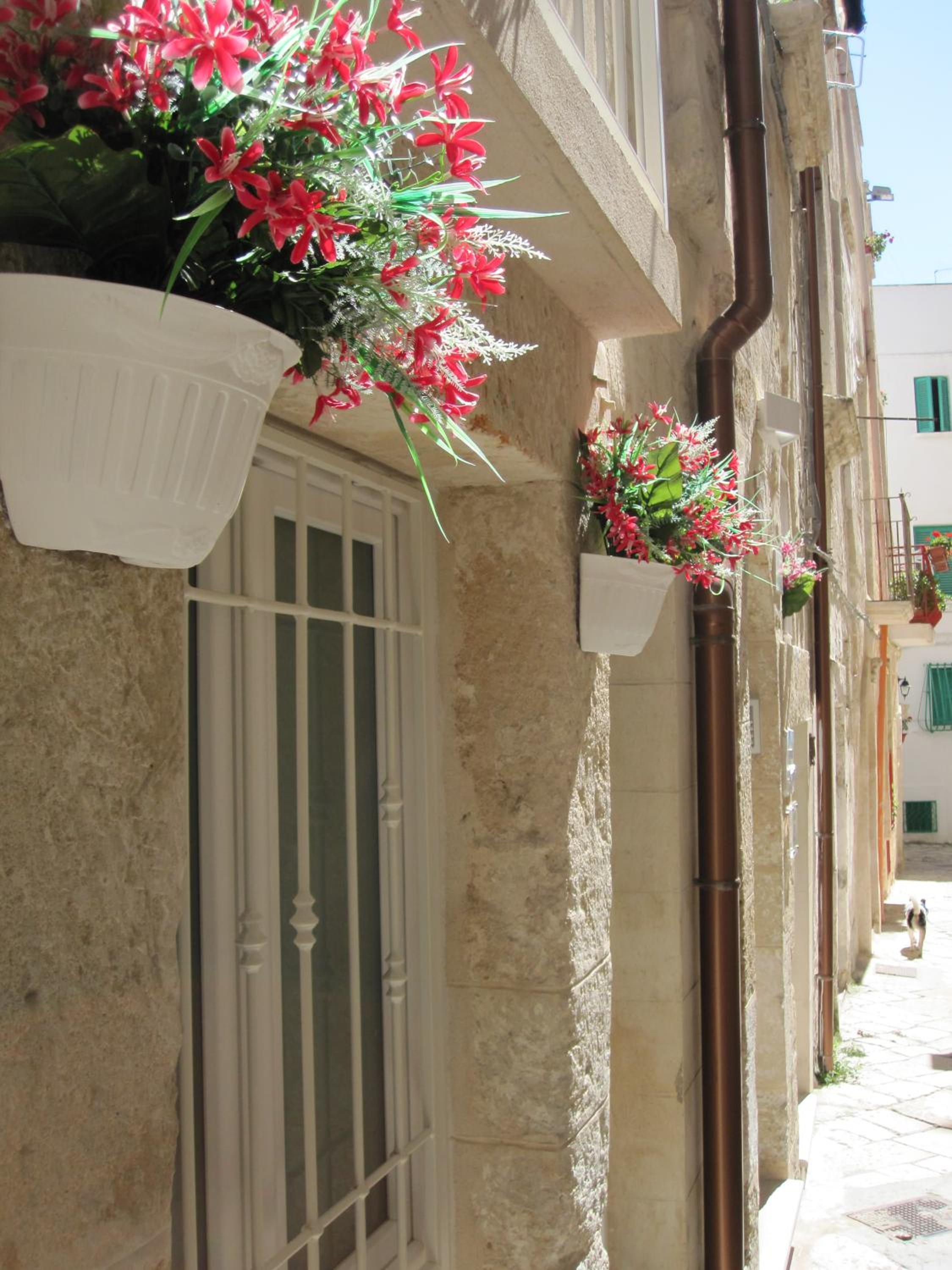 Casa Nave