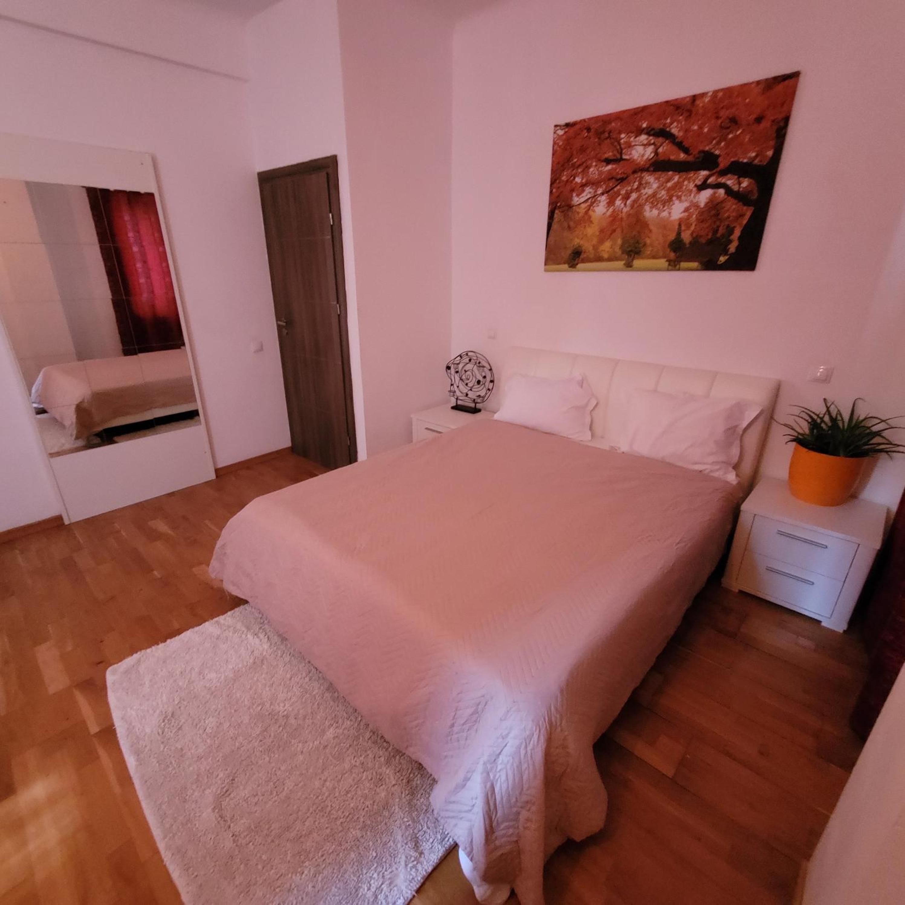 Anastasia Balcescu Apart 4 Self Check in Code from 2PM Kitchen and Bedroom view 4