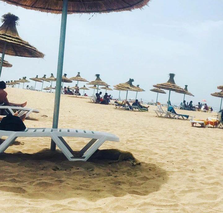 Blanca Beach bel appartement avec wifi et Parking view 3