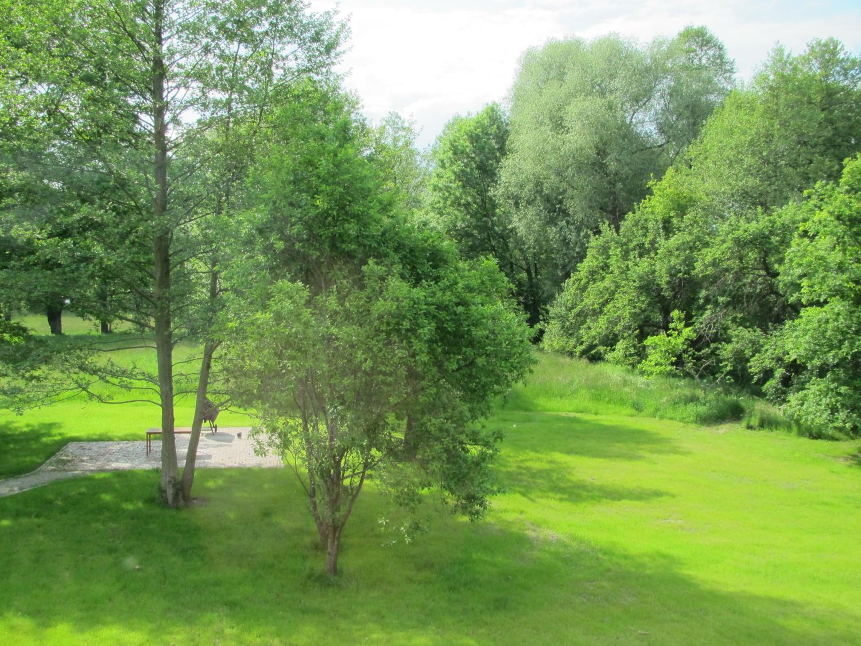 Photo 46