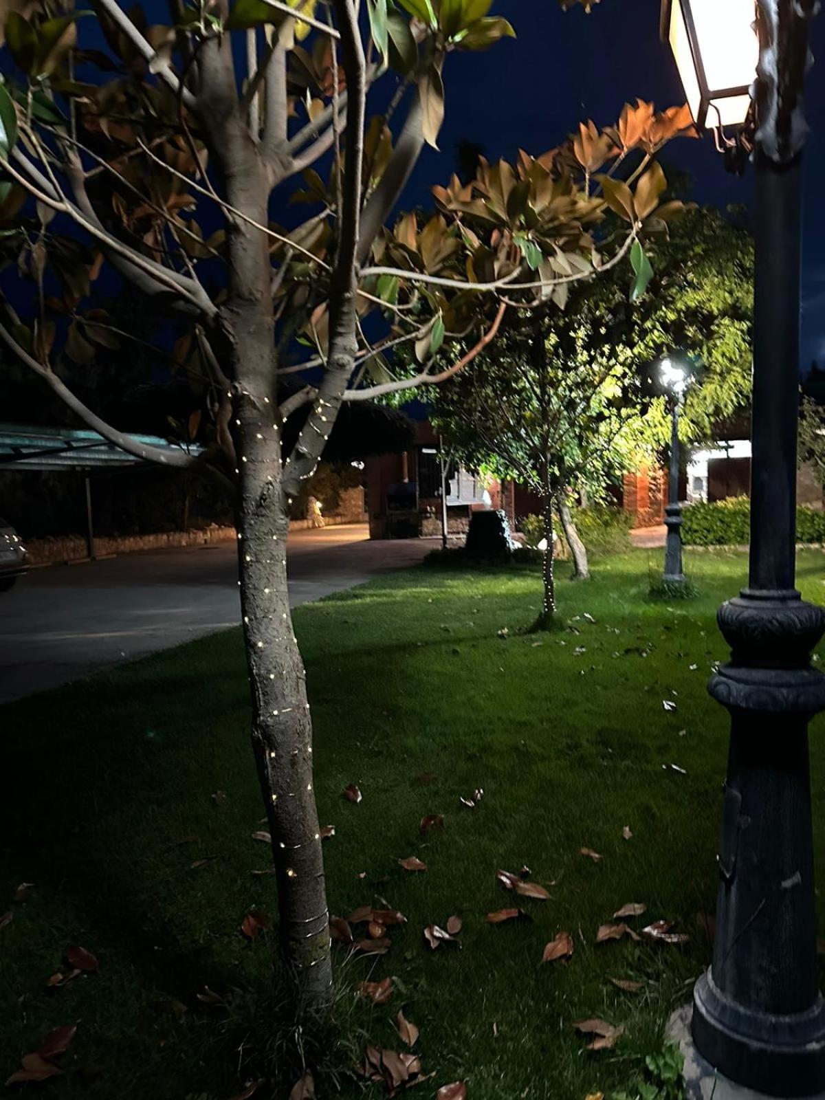 Photo 28