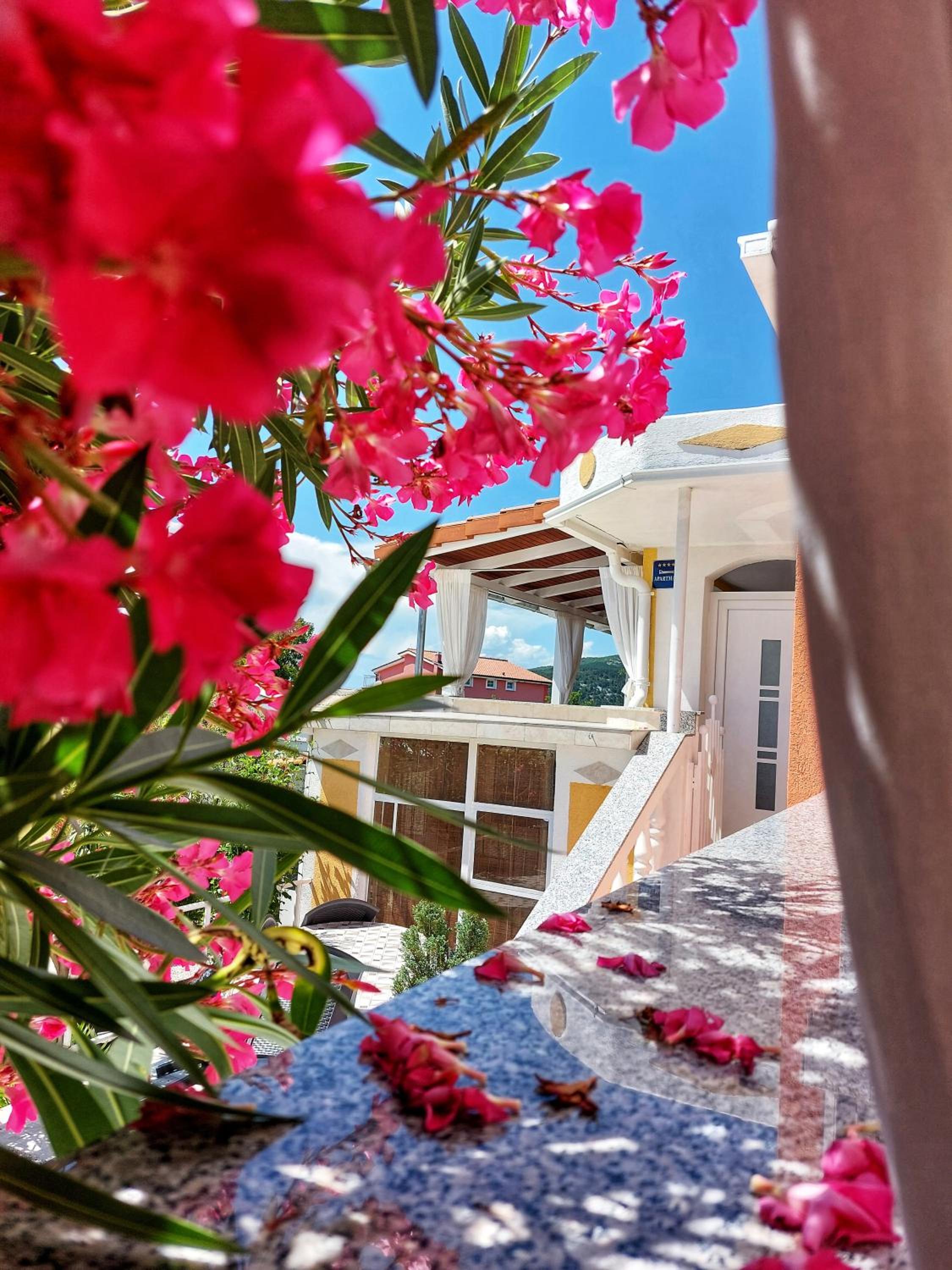 Apartments Dumic Crikvenica view 4