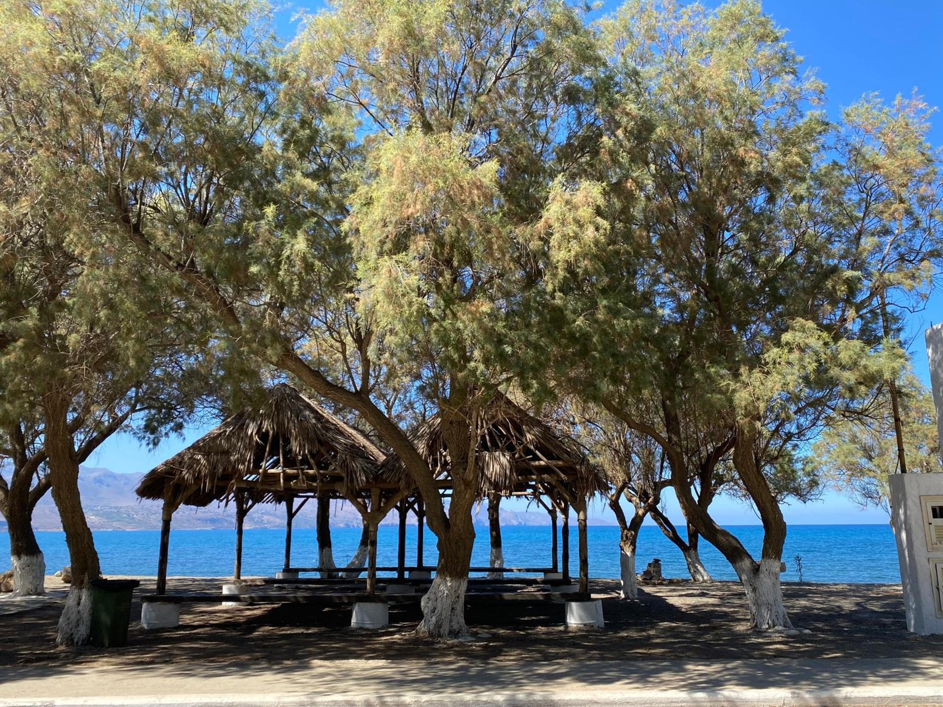 Villa Albama