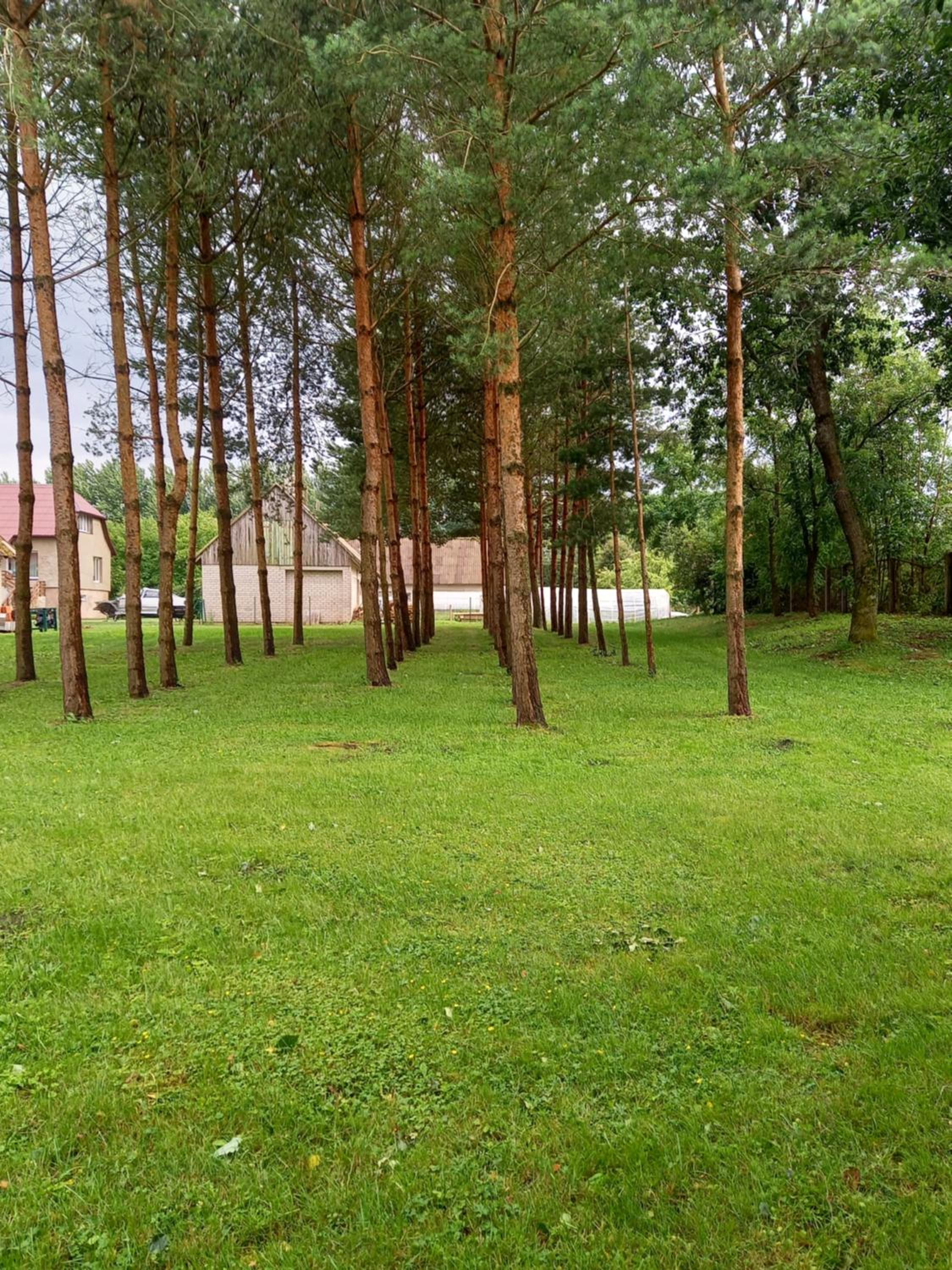 Namelis Drevernoje