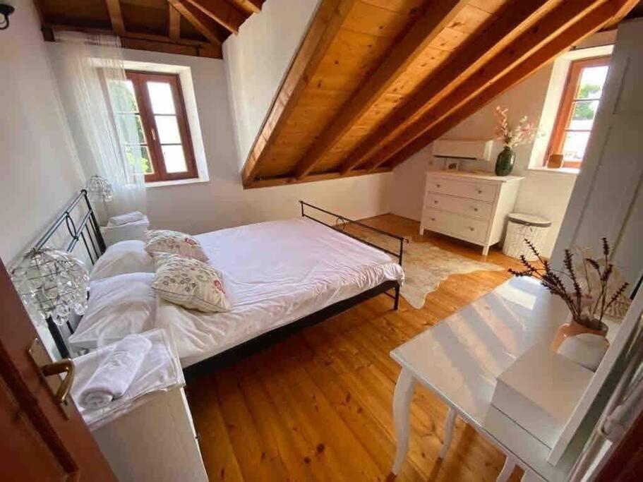 Villa Rosa