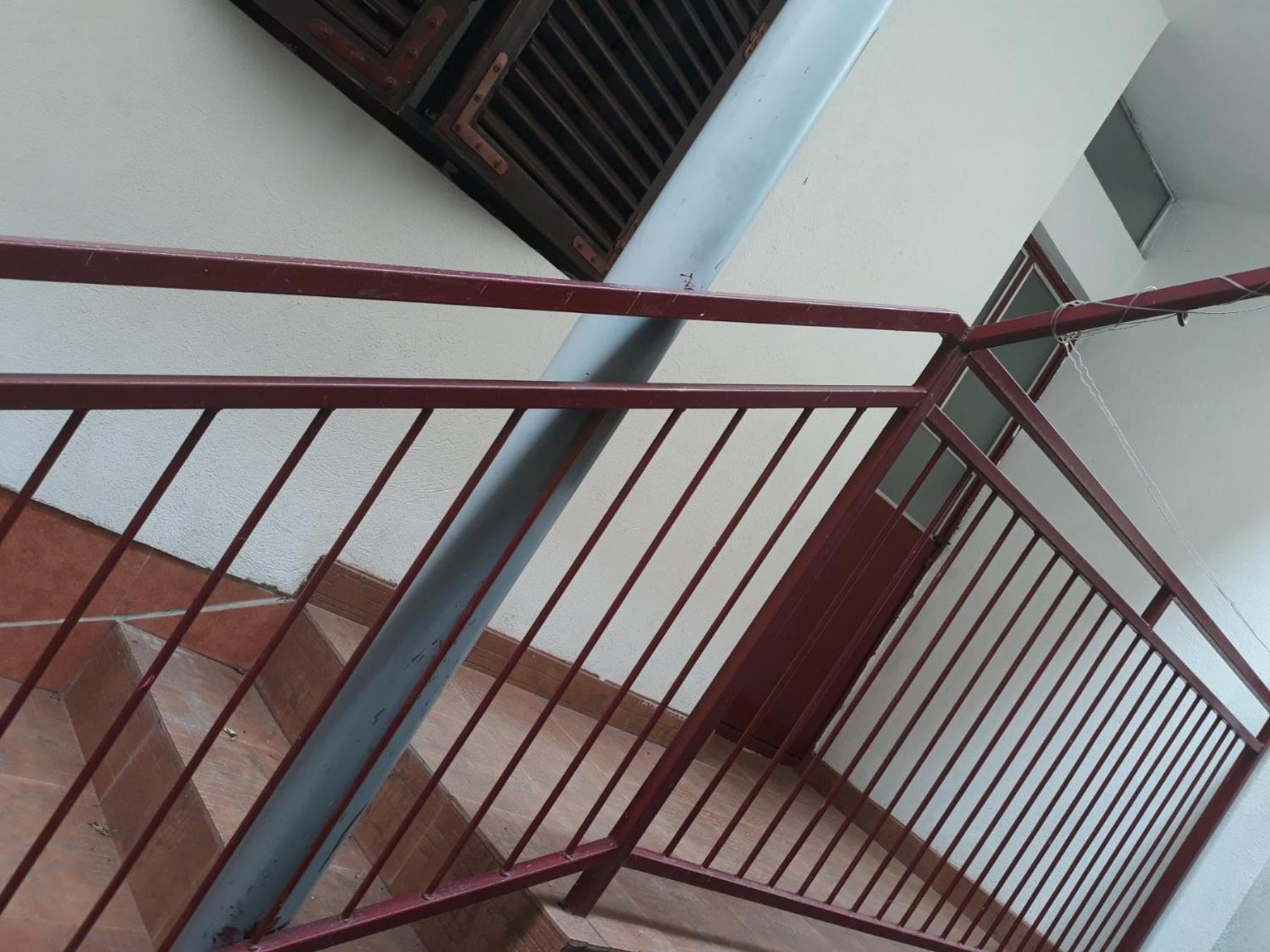 Apartmani Gina