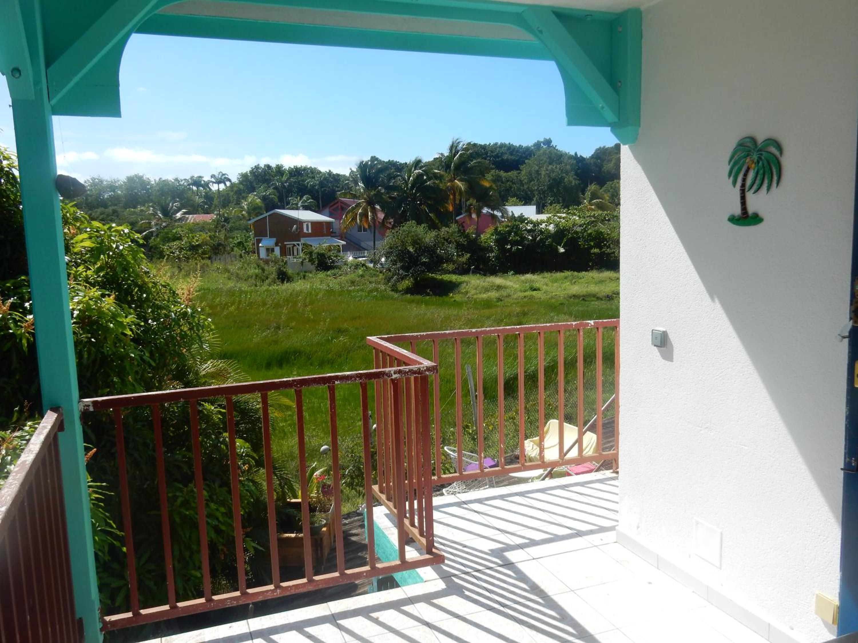 Caribgites