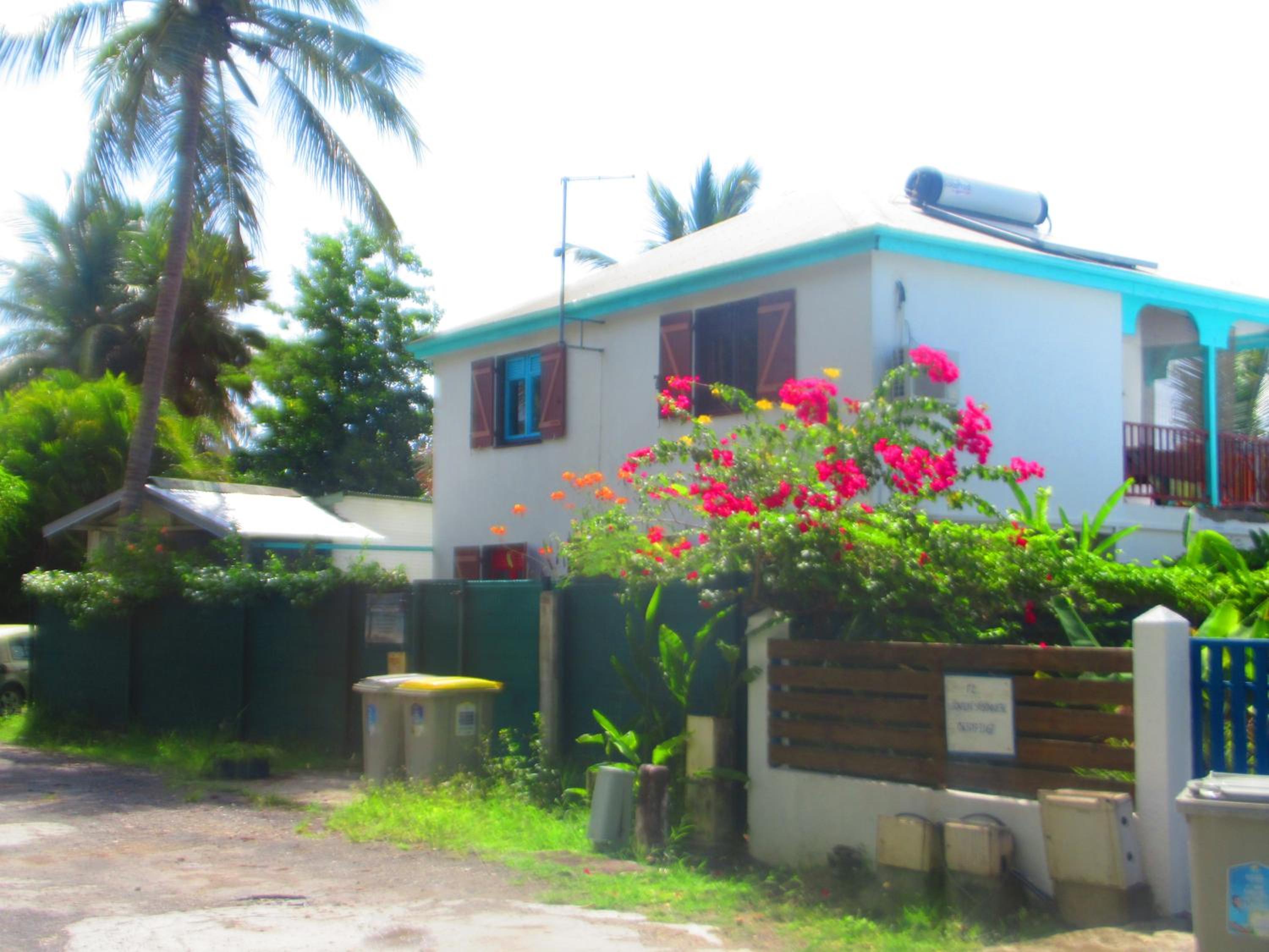 Caribgites