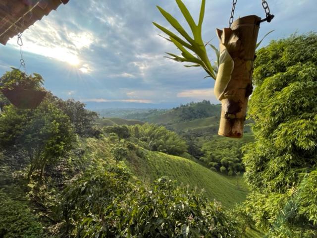 Hospedaje Mandarinos Filandia