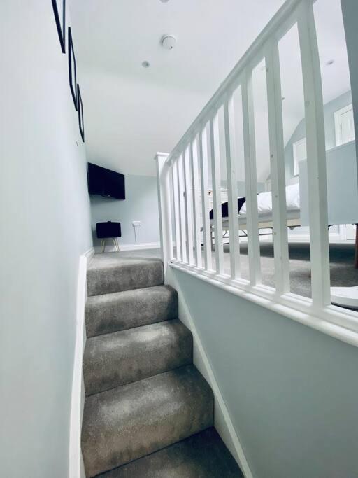 The Bear Loft