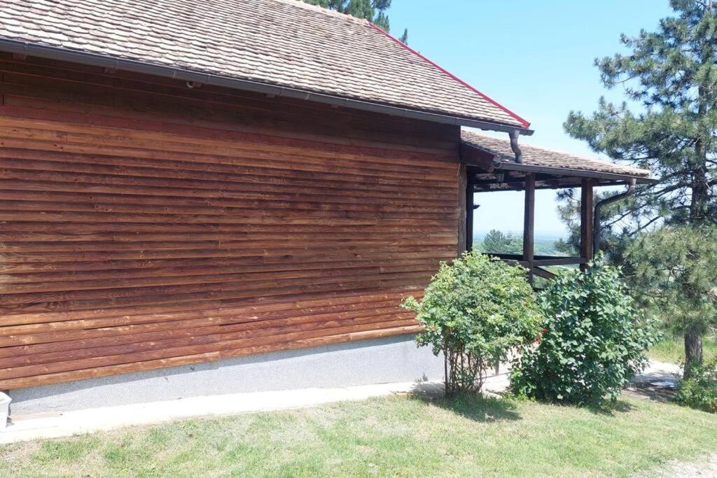 vila gotiva alibegovac view 3