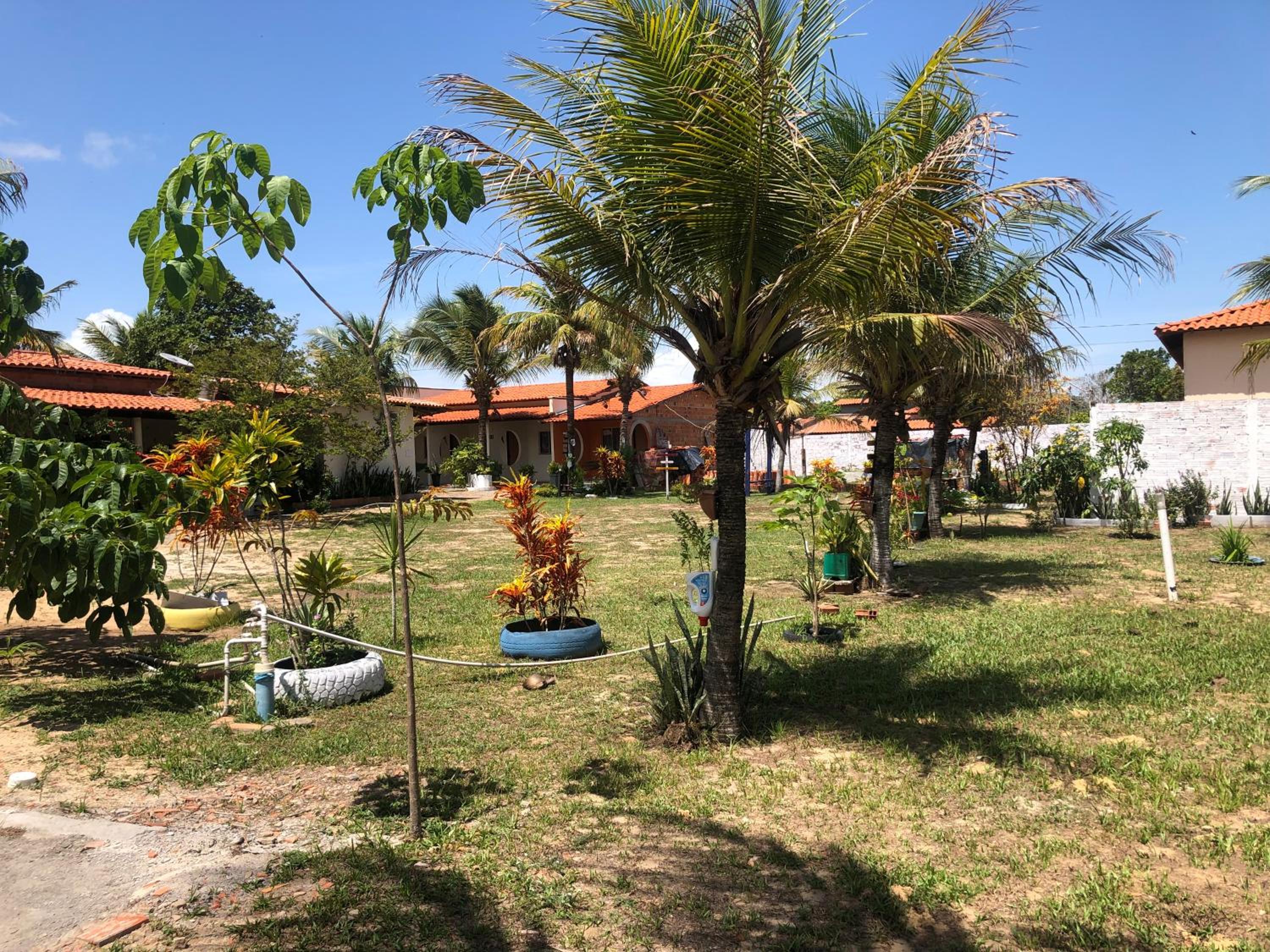 Photo 17
