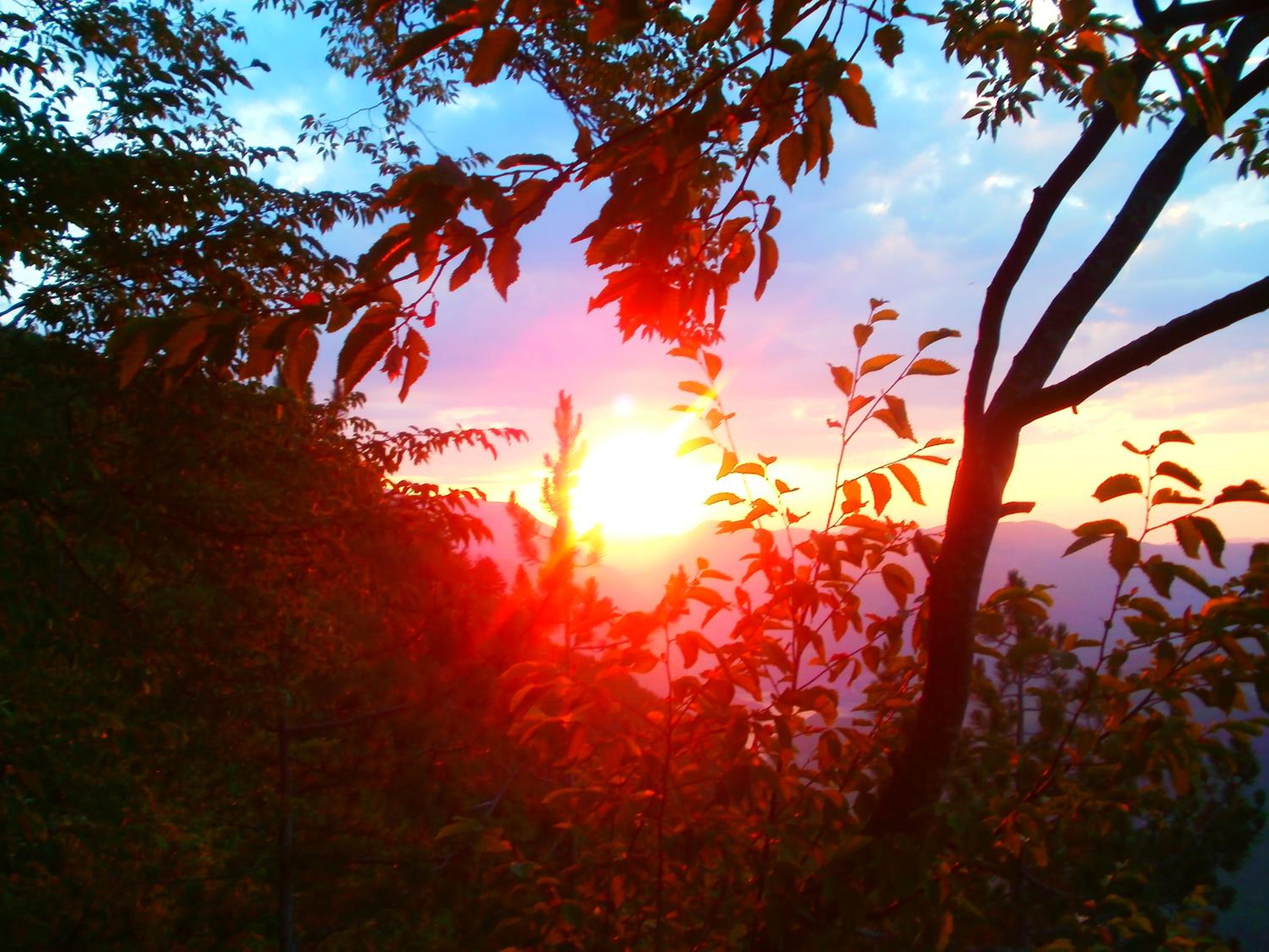 Tilia Cottage Banjska stena view 5