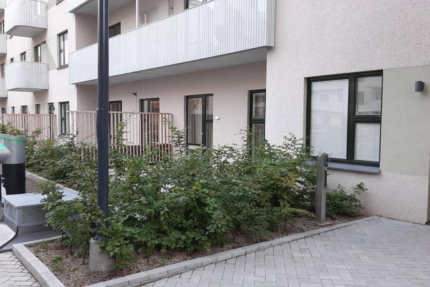 Photo 37