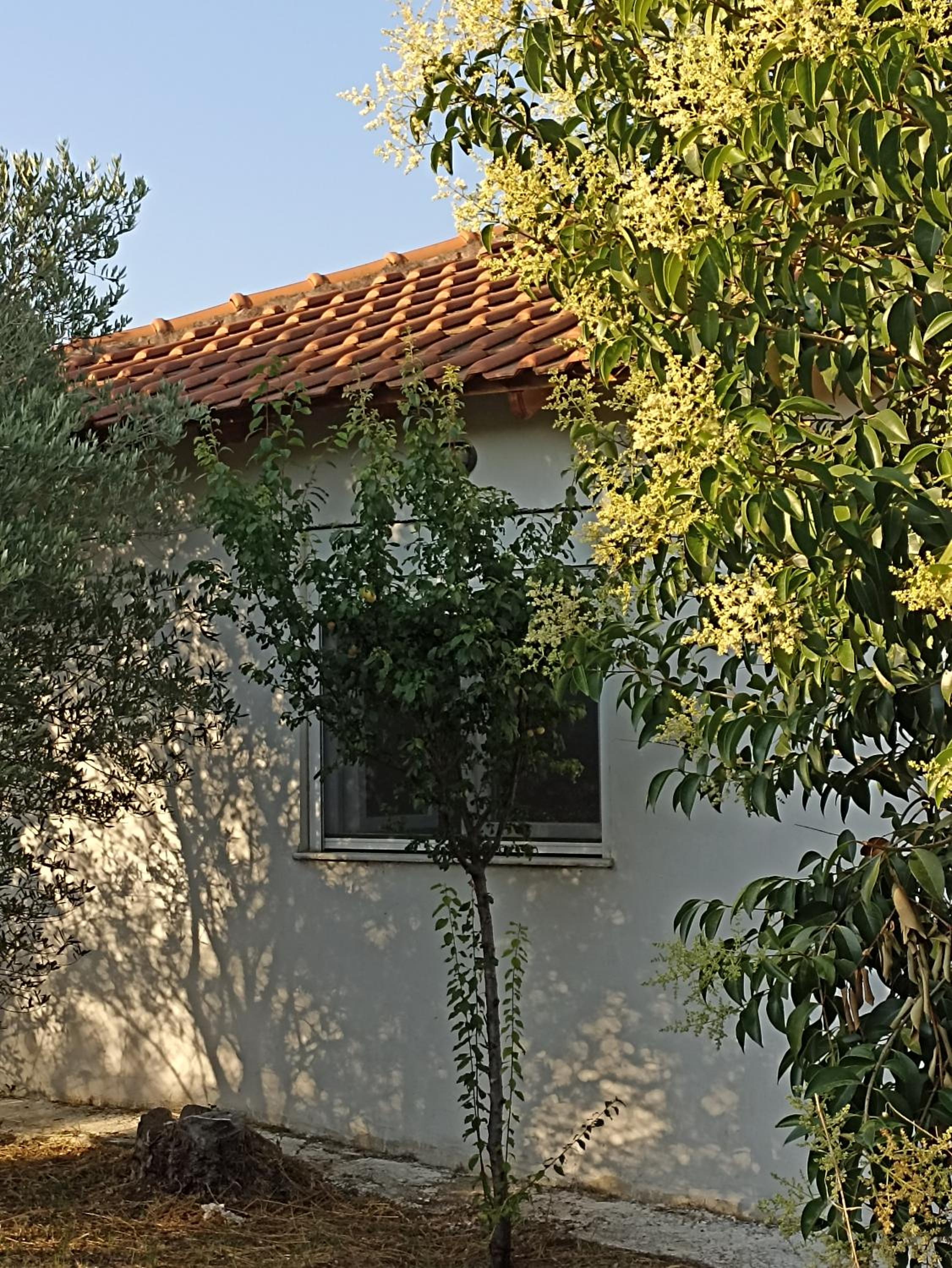 private house