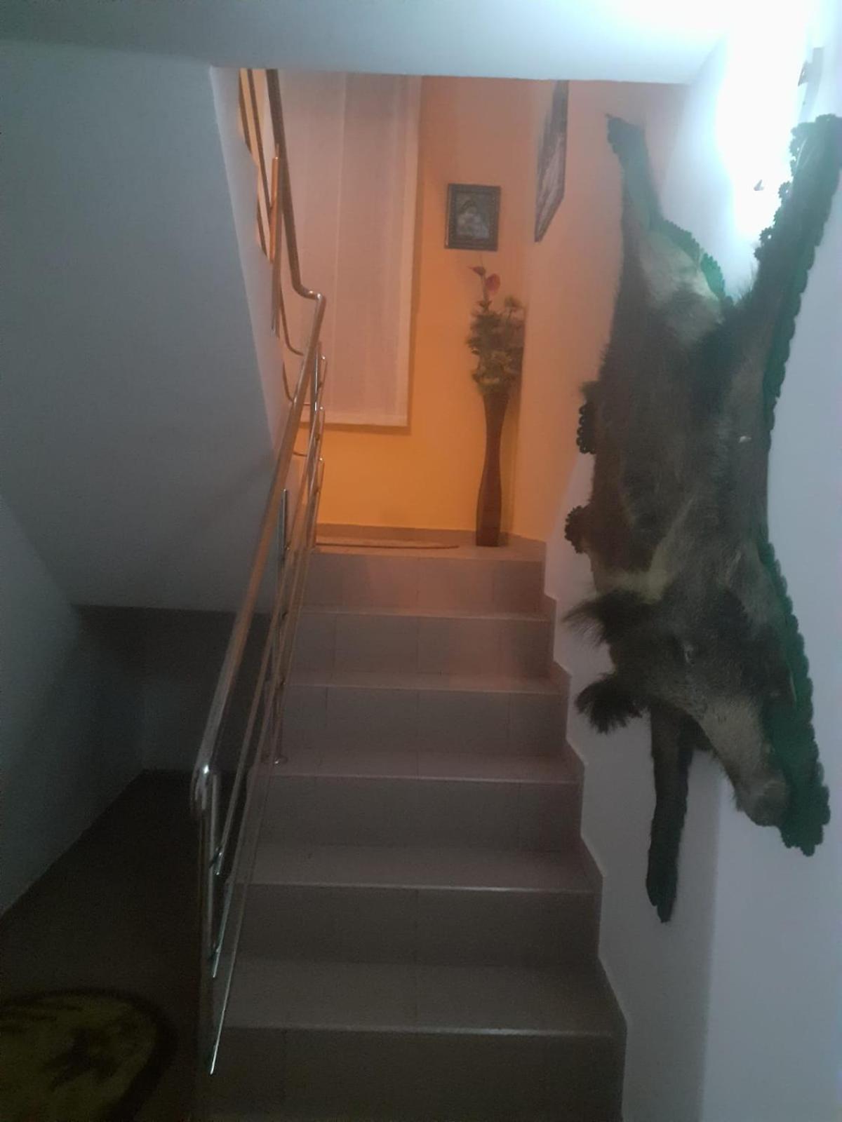 Casa Roman