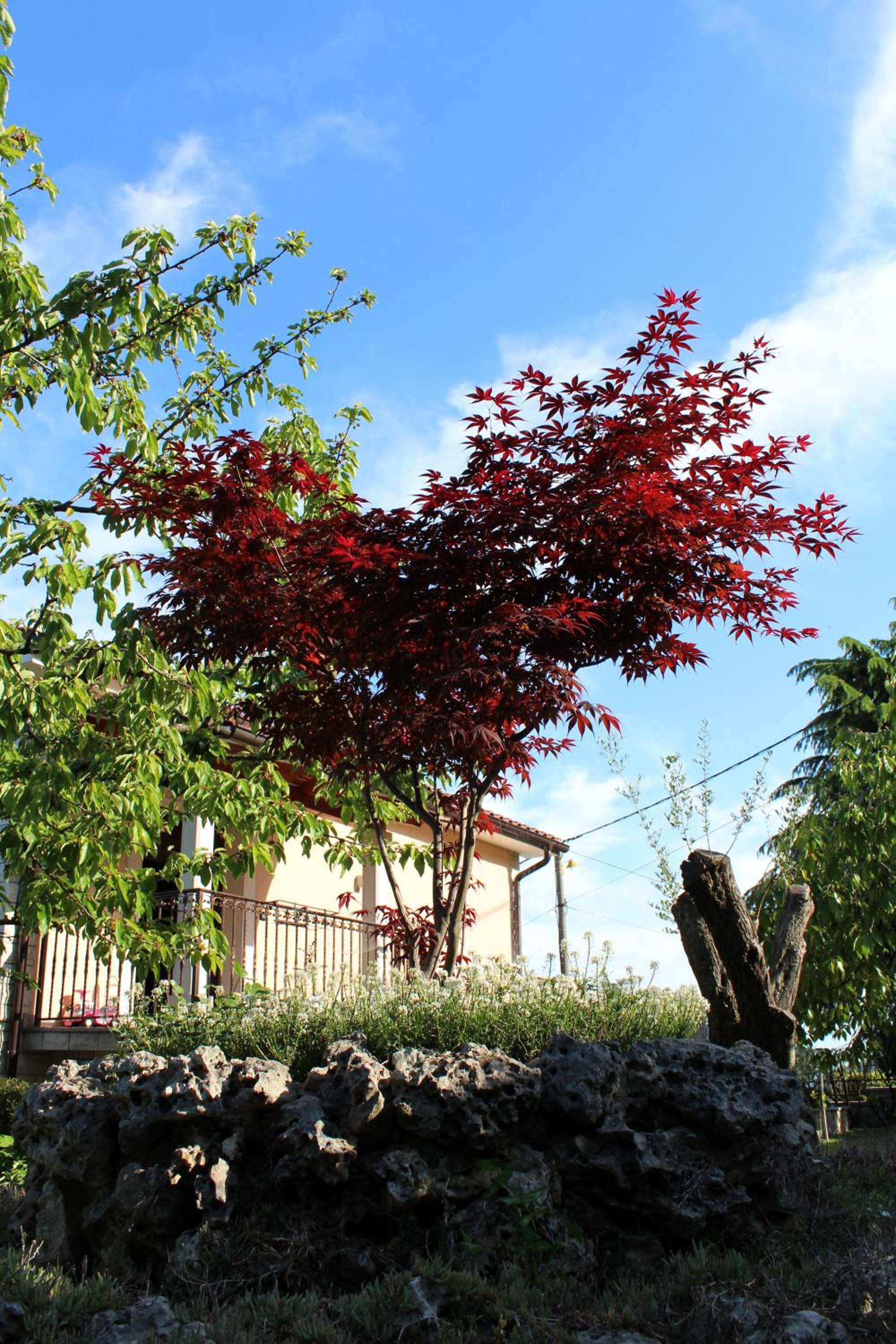 Photo 46
