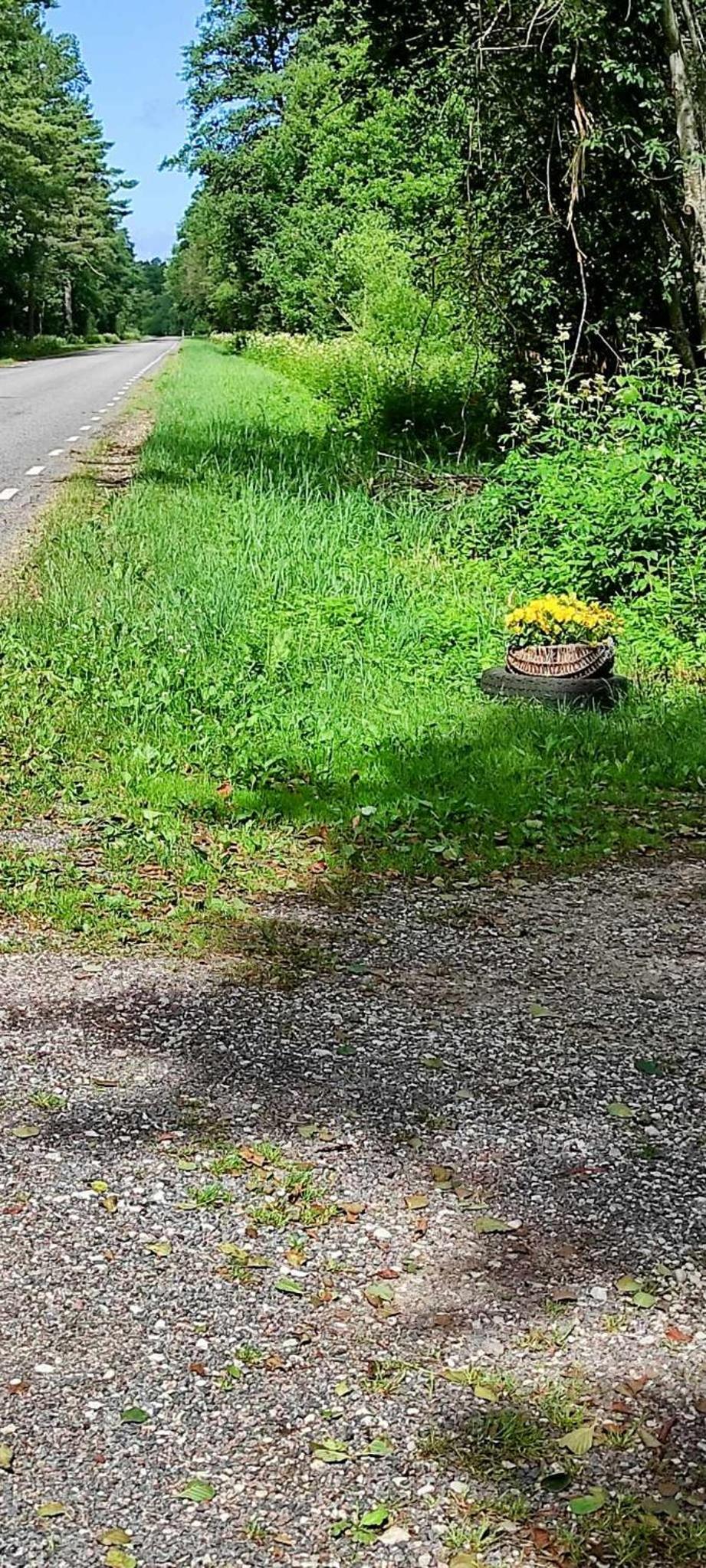 Luguse Älfi Maja