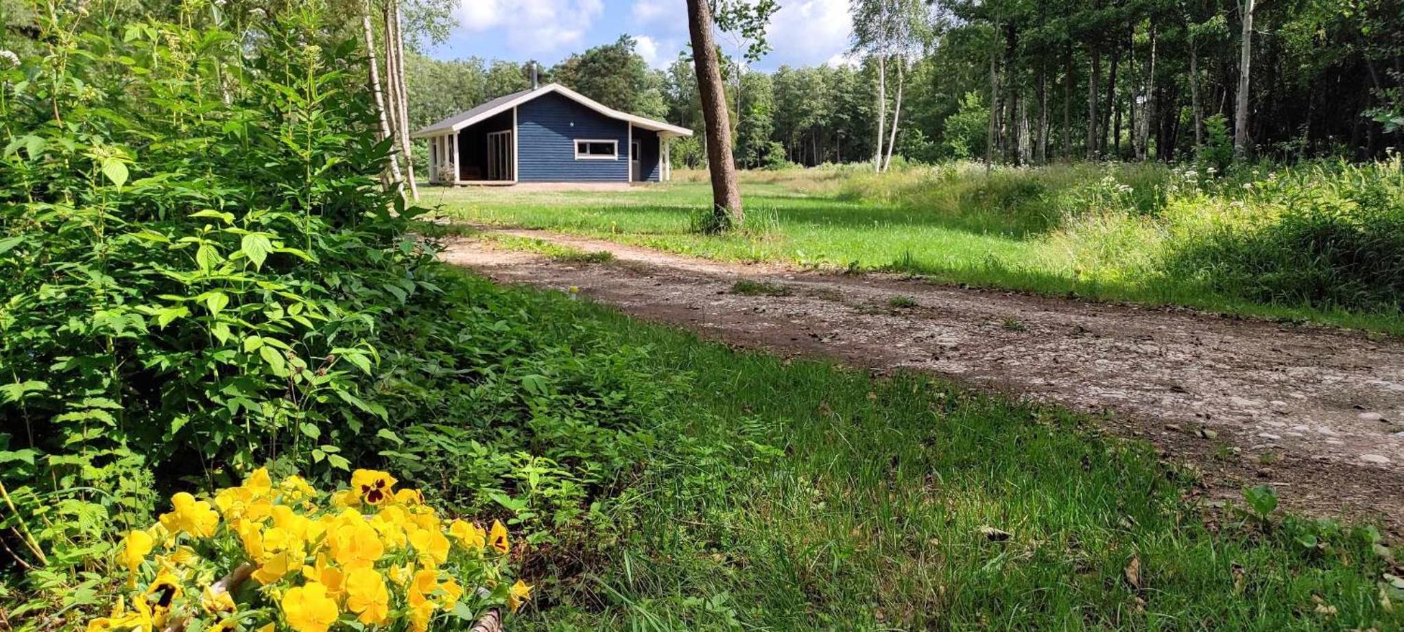 Luguse Älfi Maja