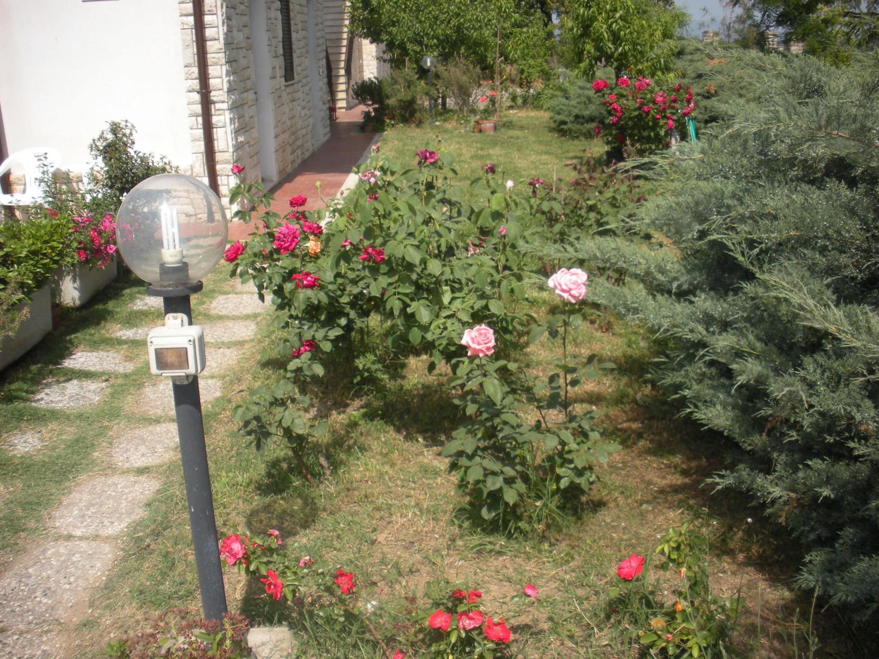 Agriturismo Le Rose
