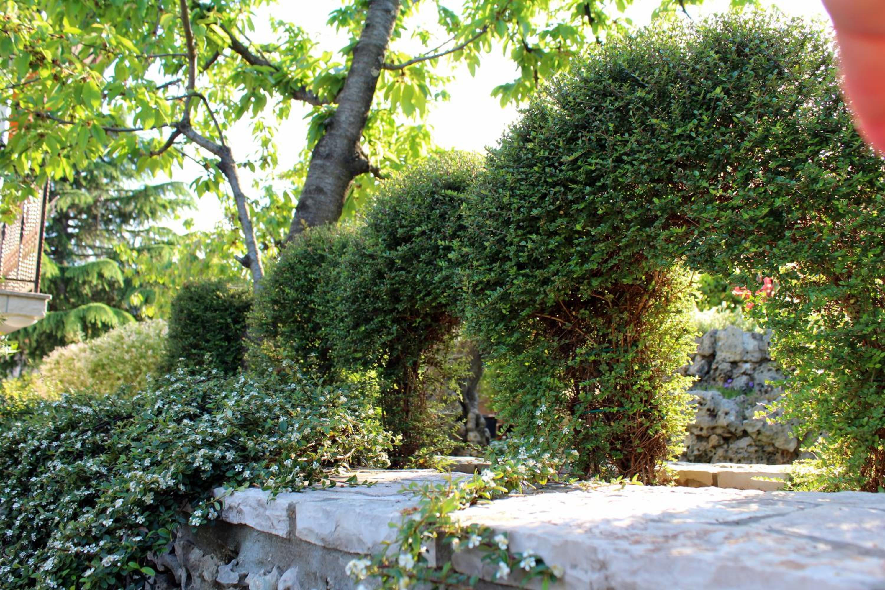 Photo 49