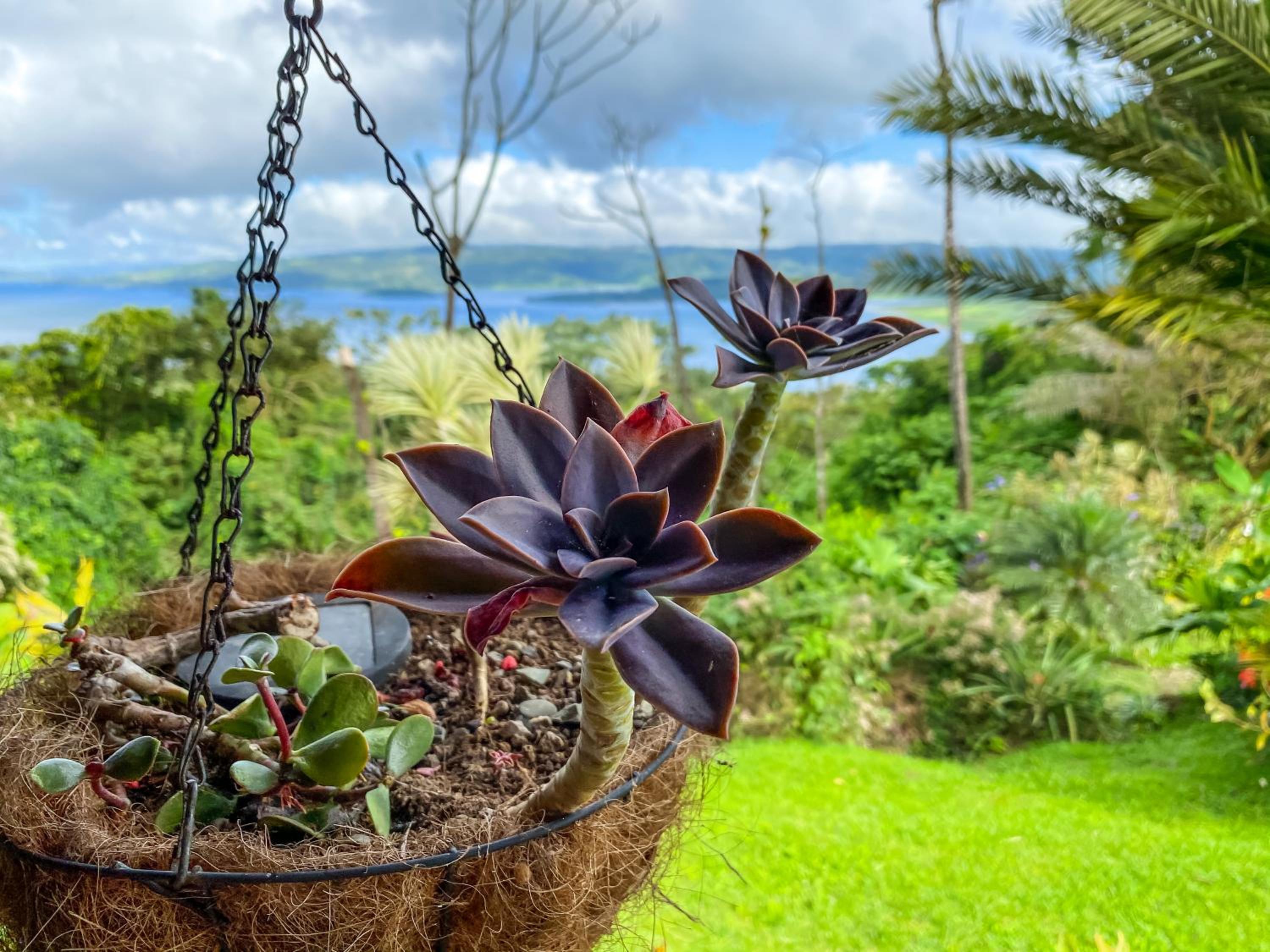 Arenal Garden Lodge