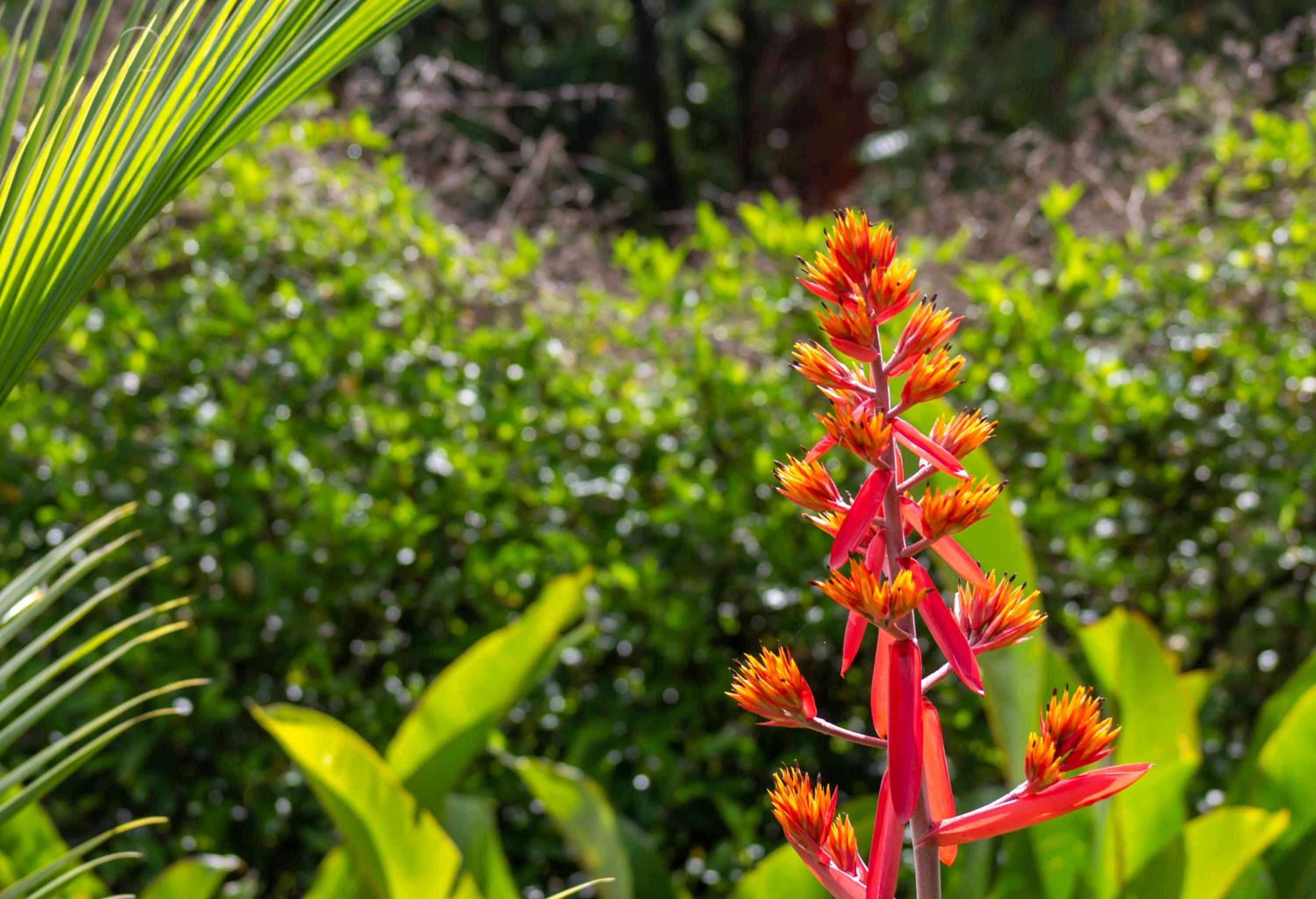 Arenal Garden Lodge