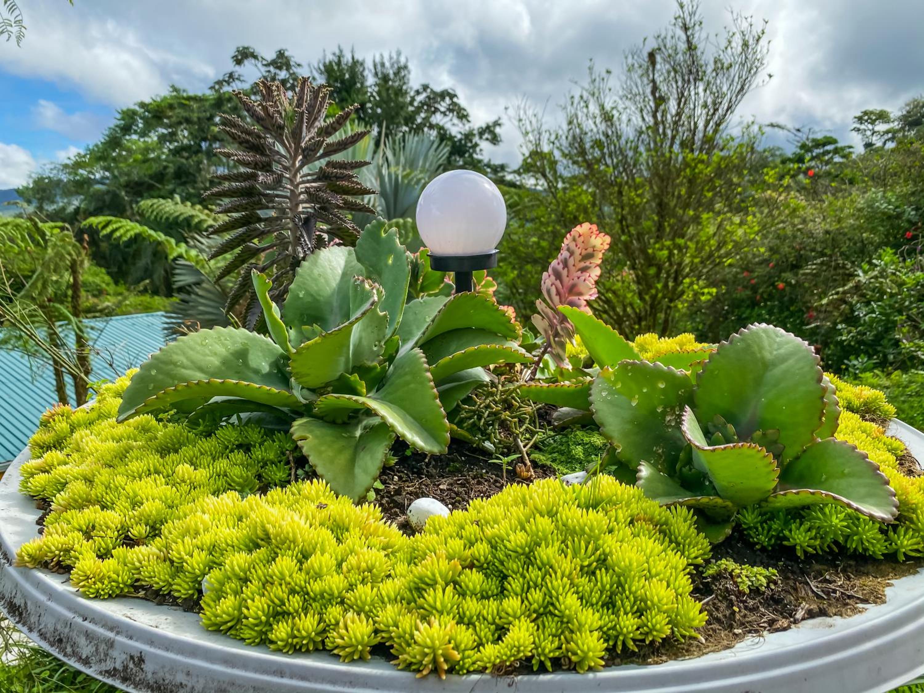 Arenal Garden Lodge