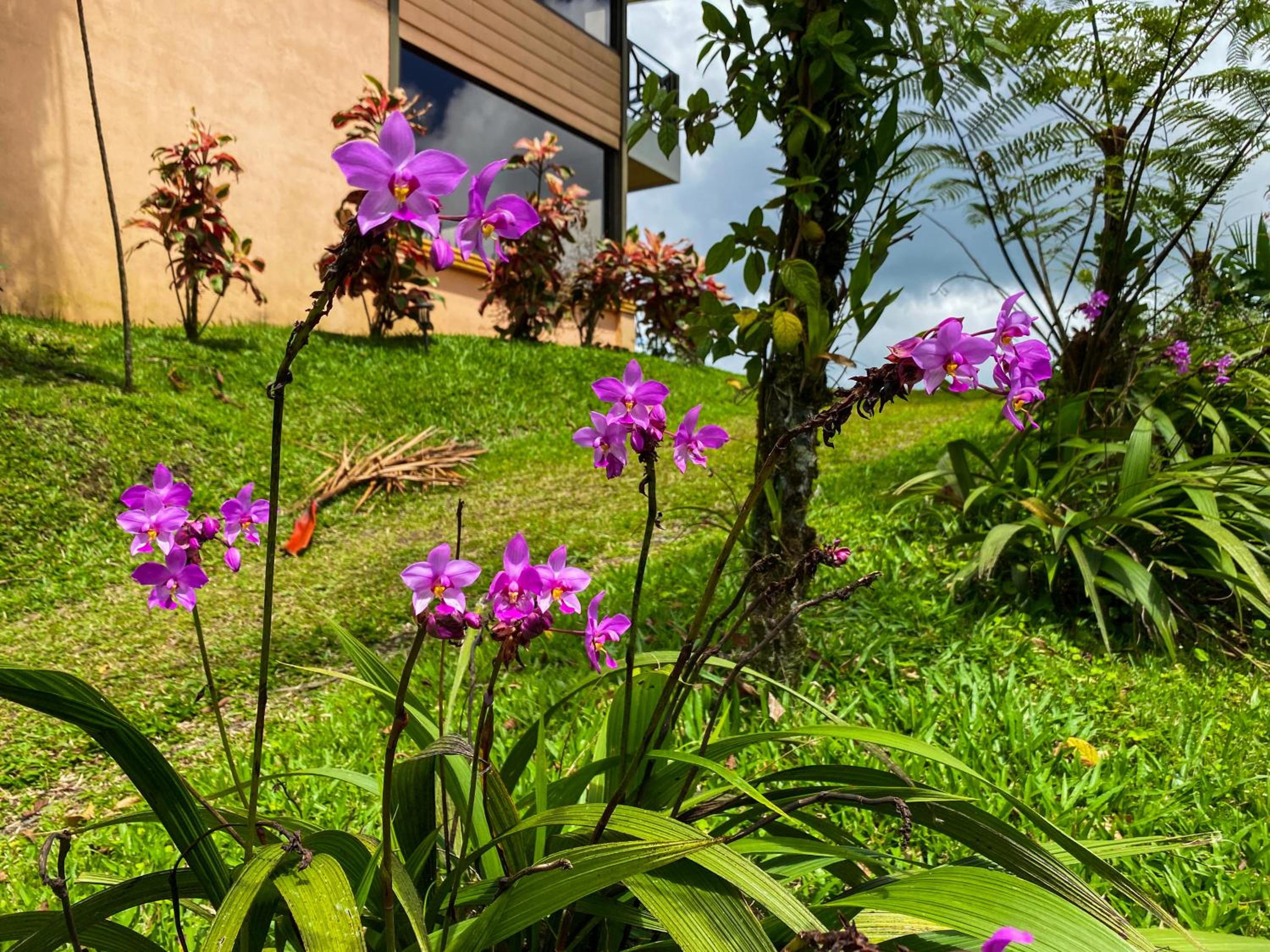 Arenal Garden Lodge