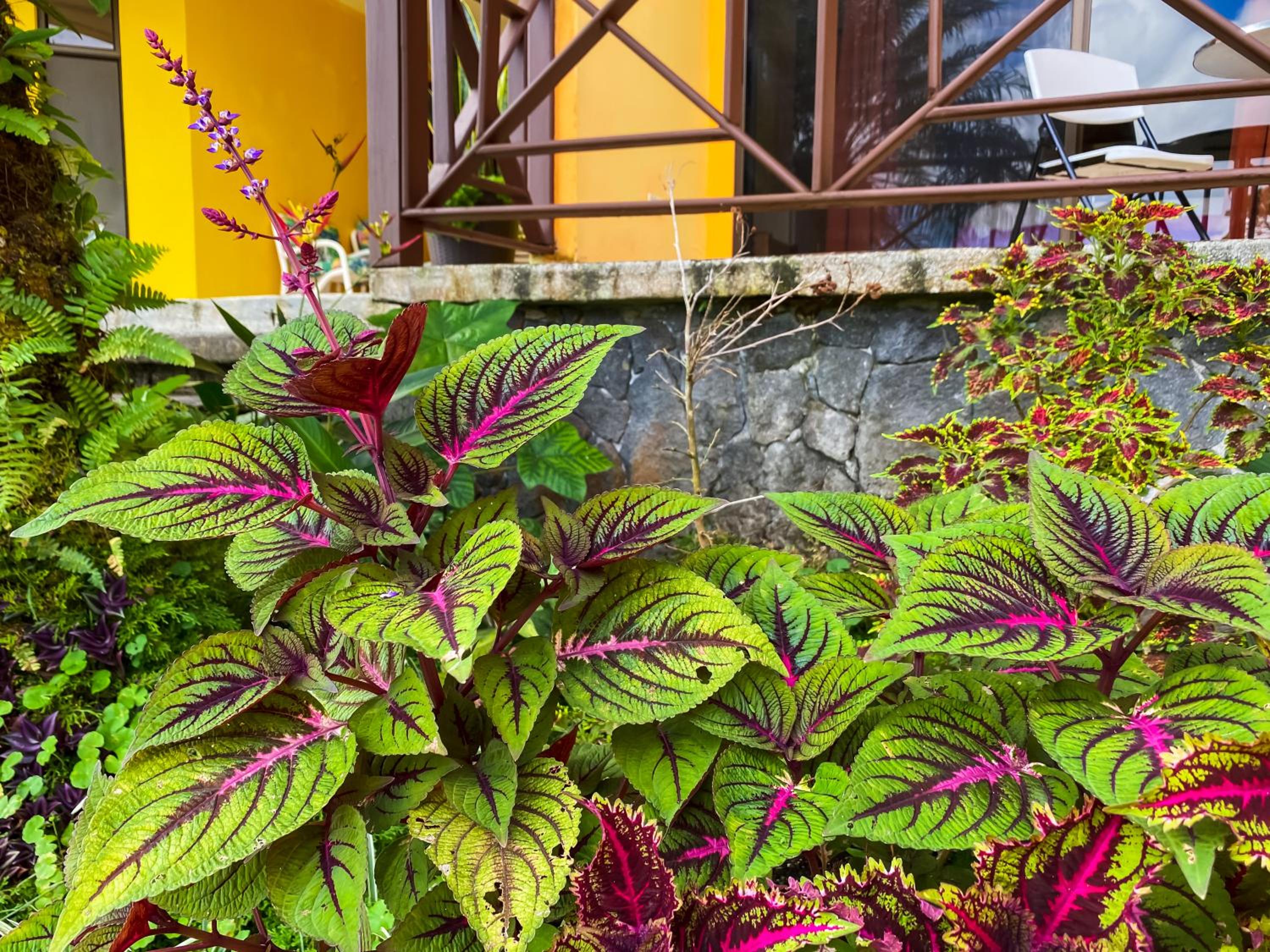 Arenal Garden Lodge