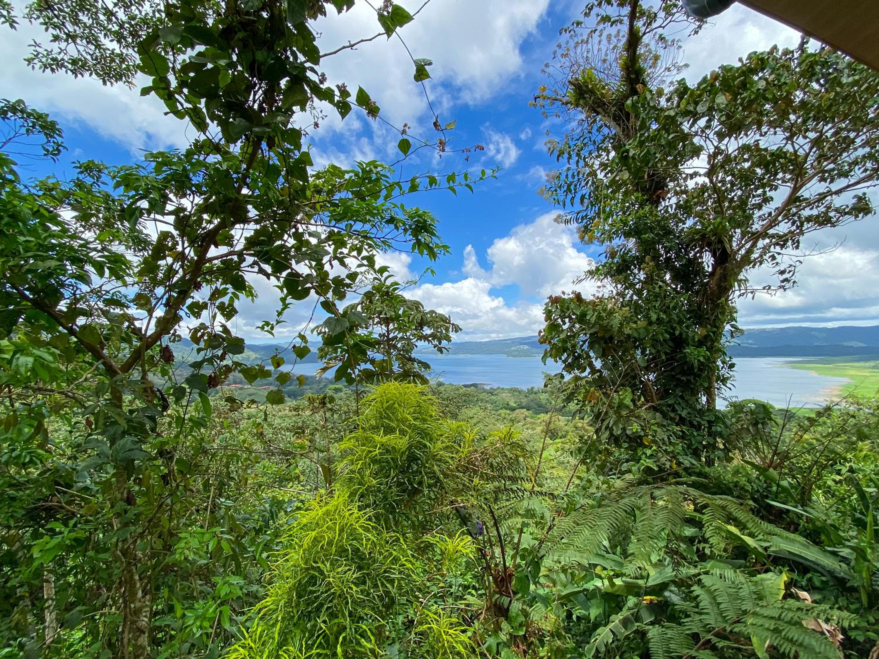 Arenal Garden Lodge