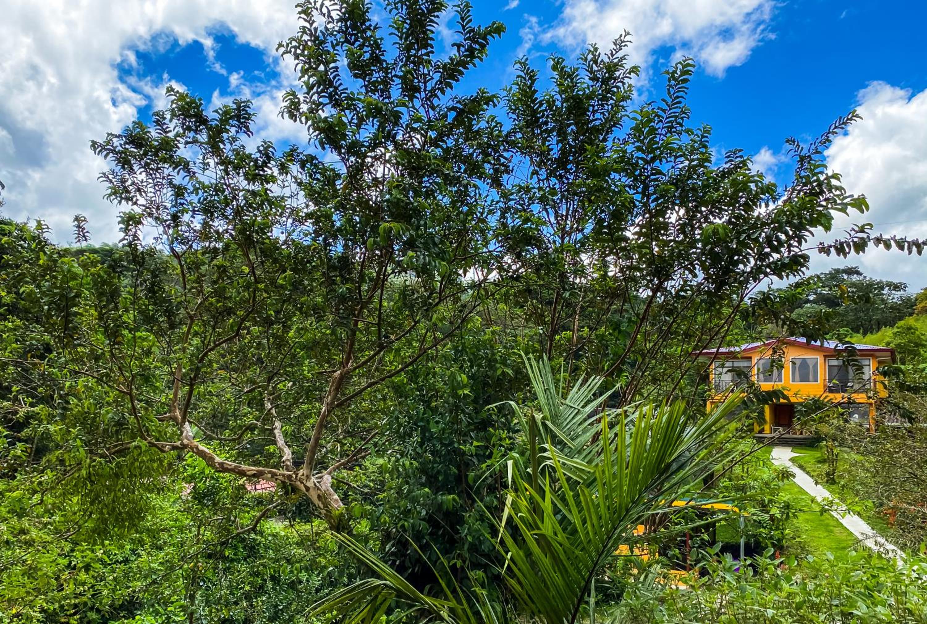 Arenal Garden Lodge