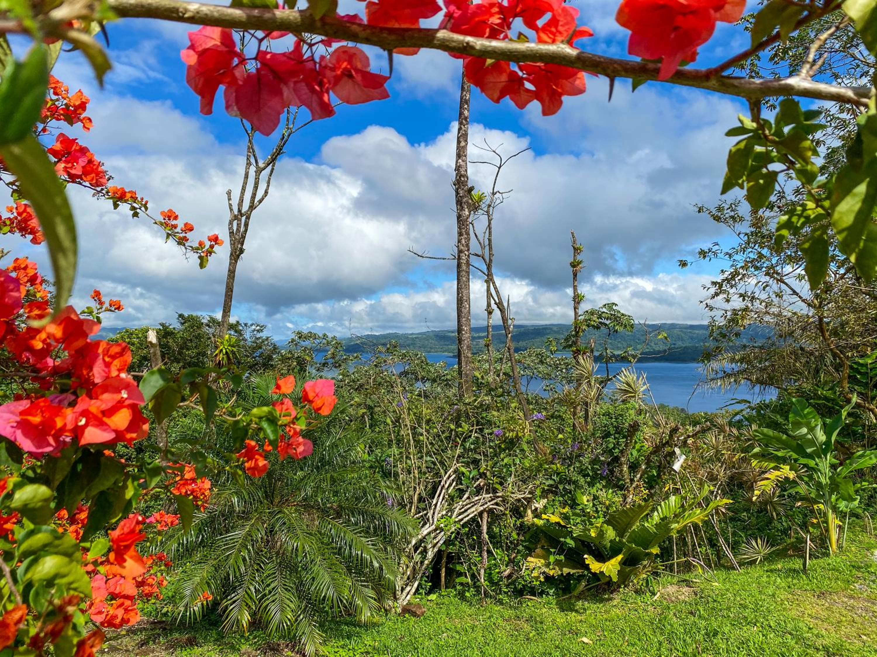 Arenal Garden Lodge