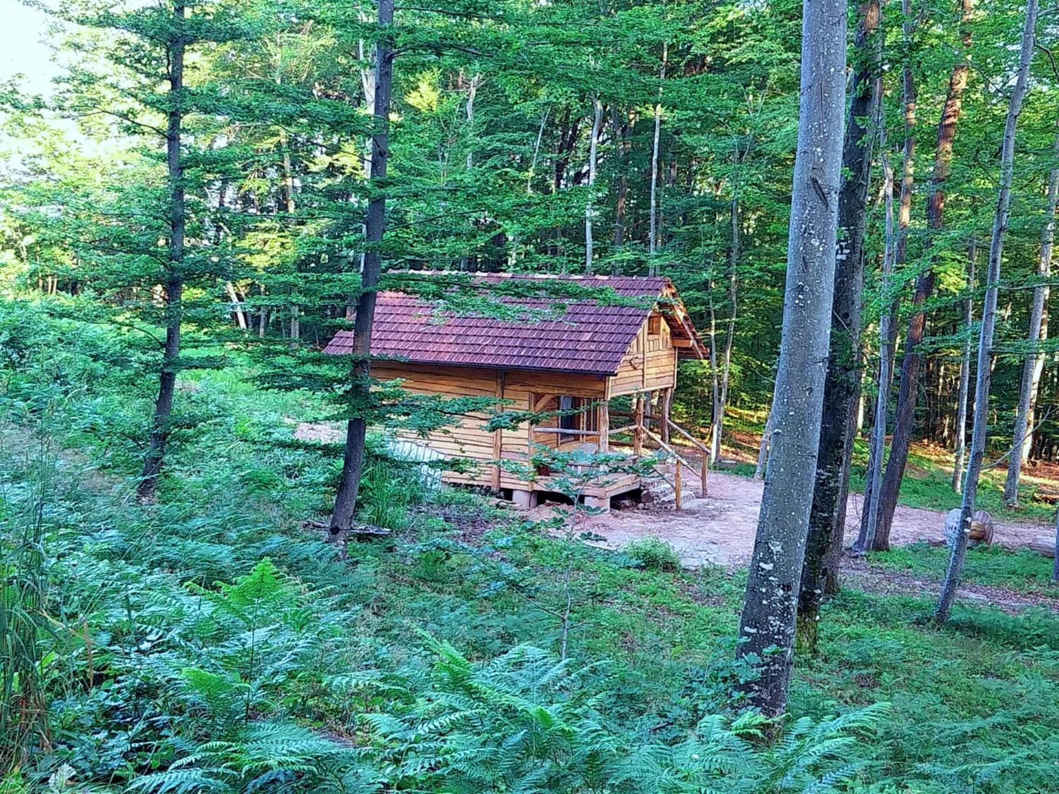 Cowboy House at Ranch Lambergar view 2