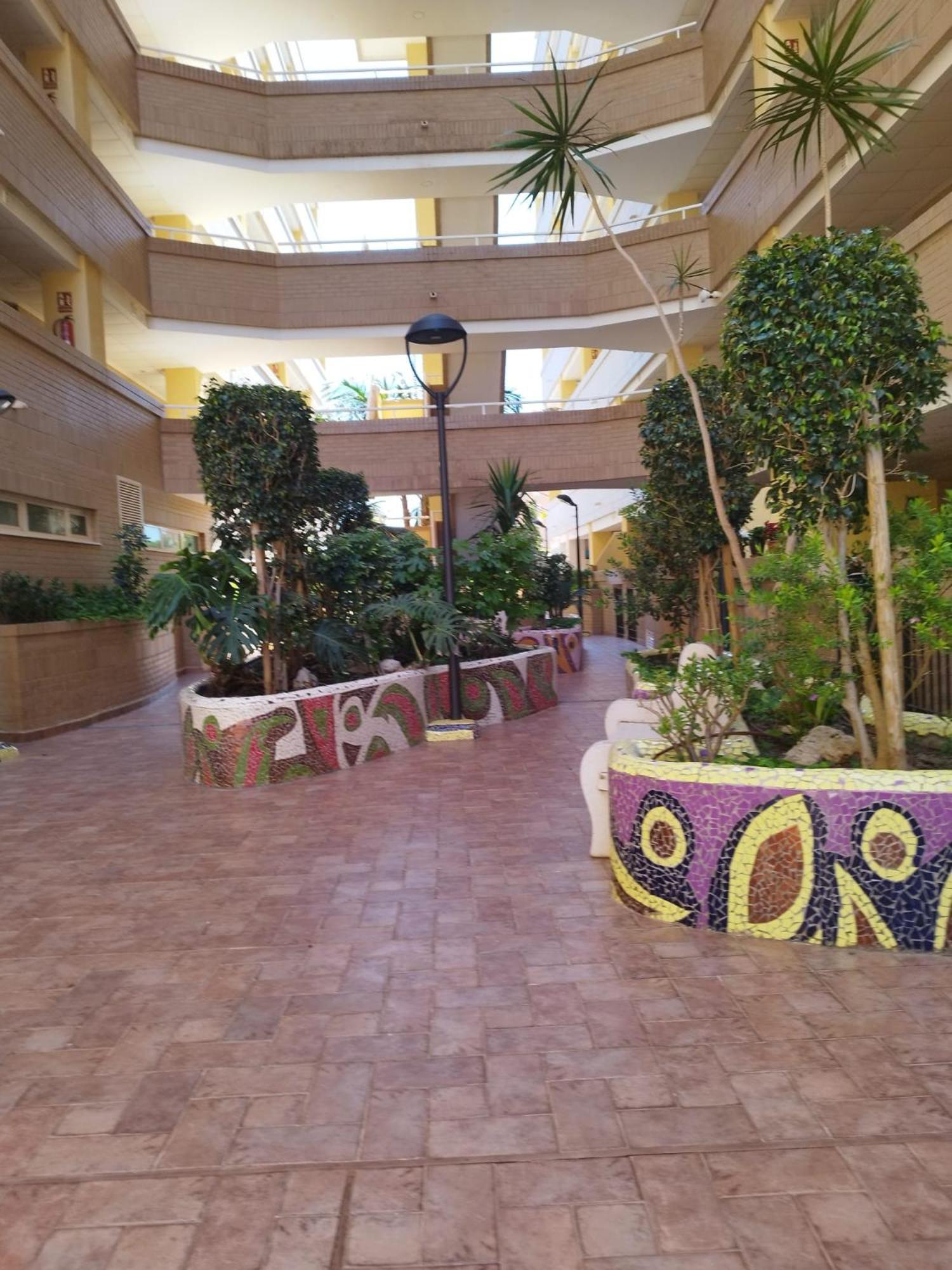 Apartamento COSTA CARIBE III - Magic Word-Marina D'Or photo 3