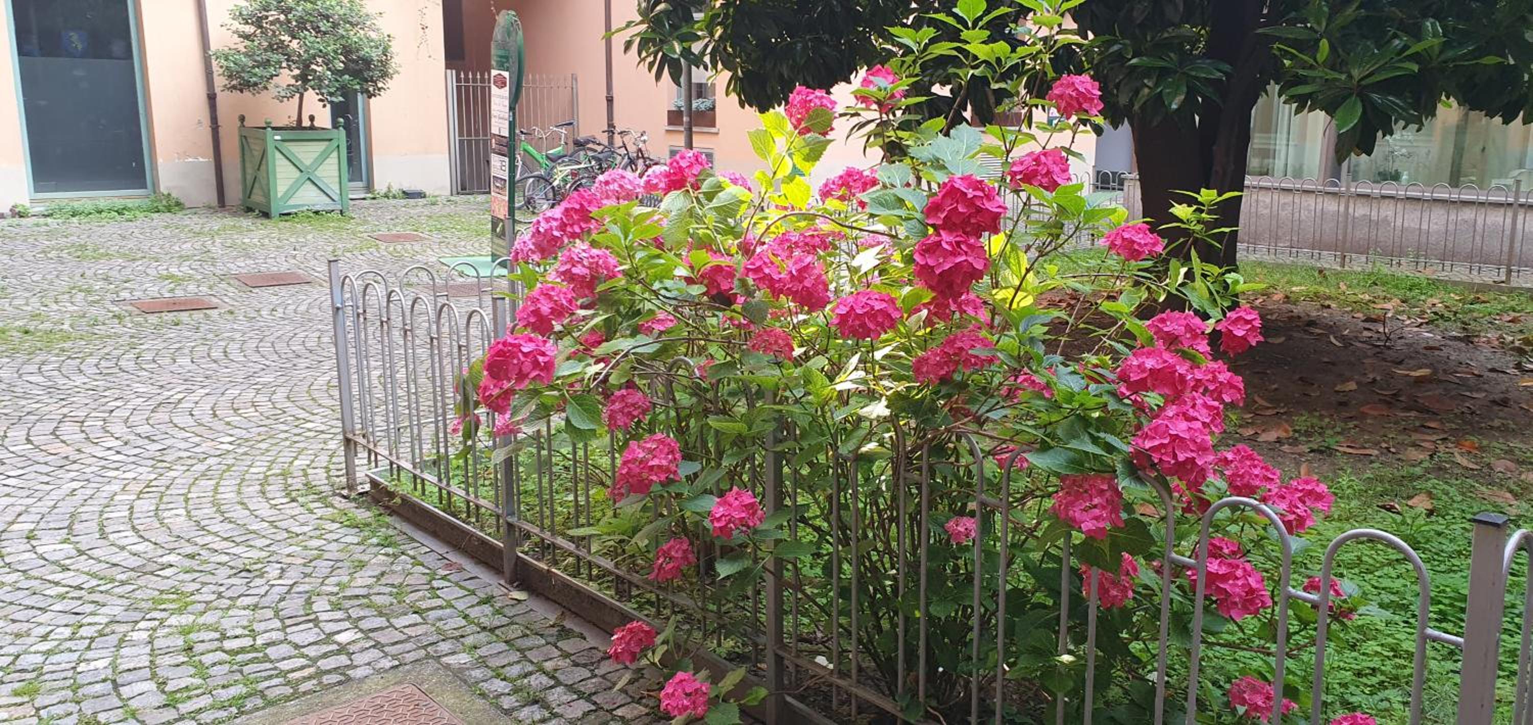 Central Loft Carina ideale per visitare il Centro di Torino view 4
