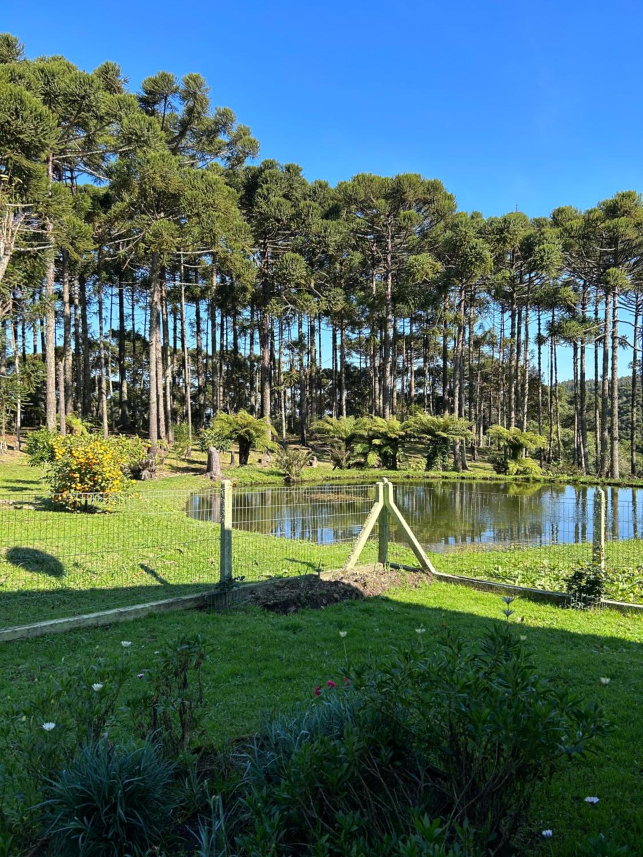Recanto das Araucárias - Carazal, Gramado.