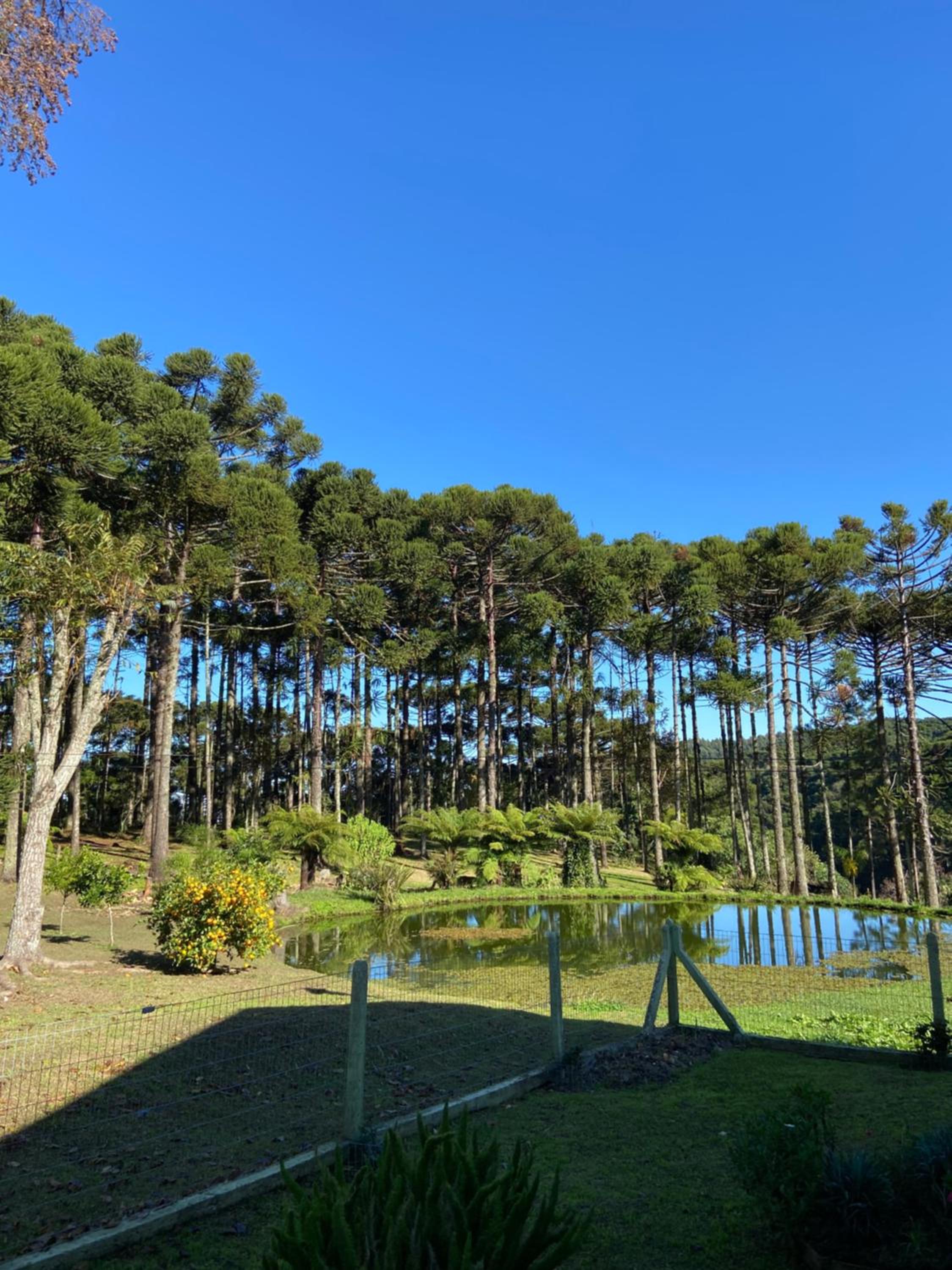 Recanto das Araucárias - Carazal, Gramado.