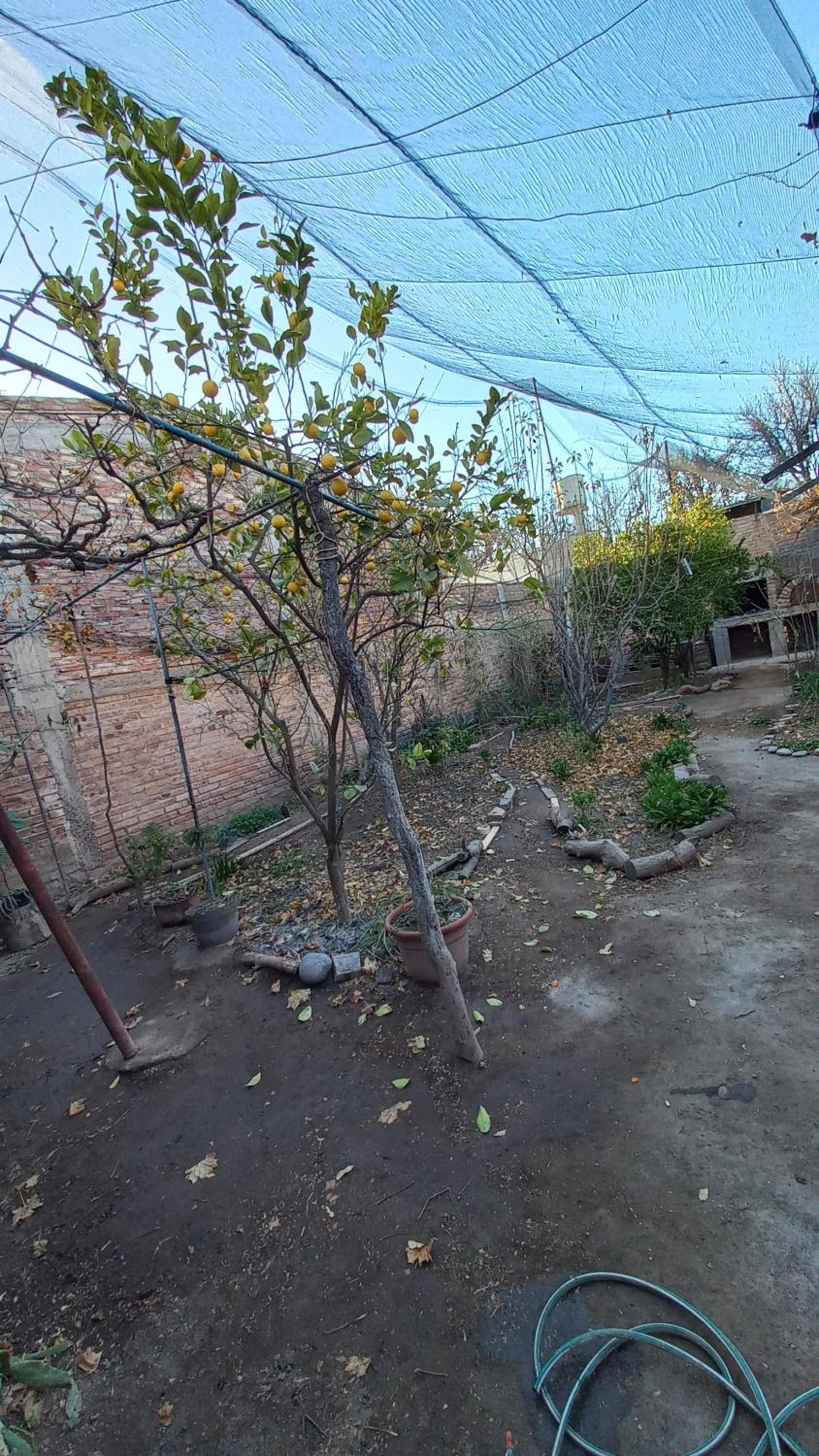 Casa Los Frutales San Rafael