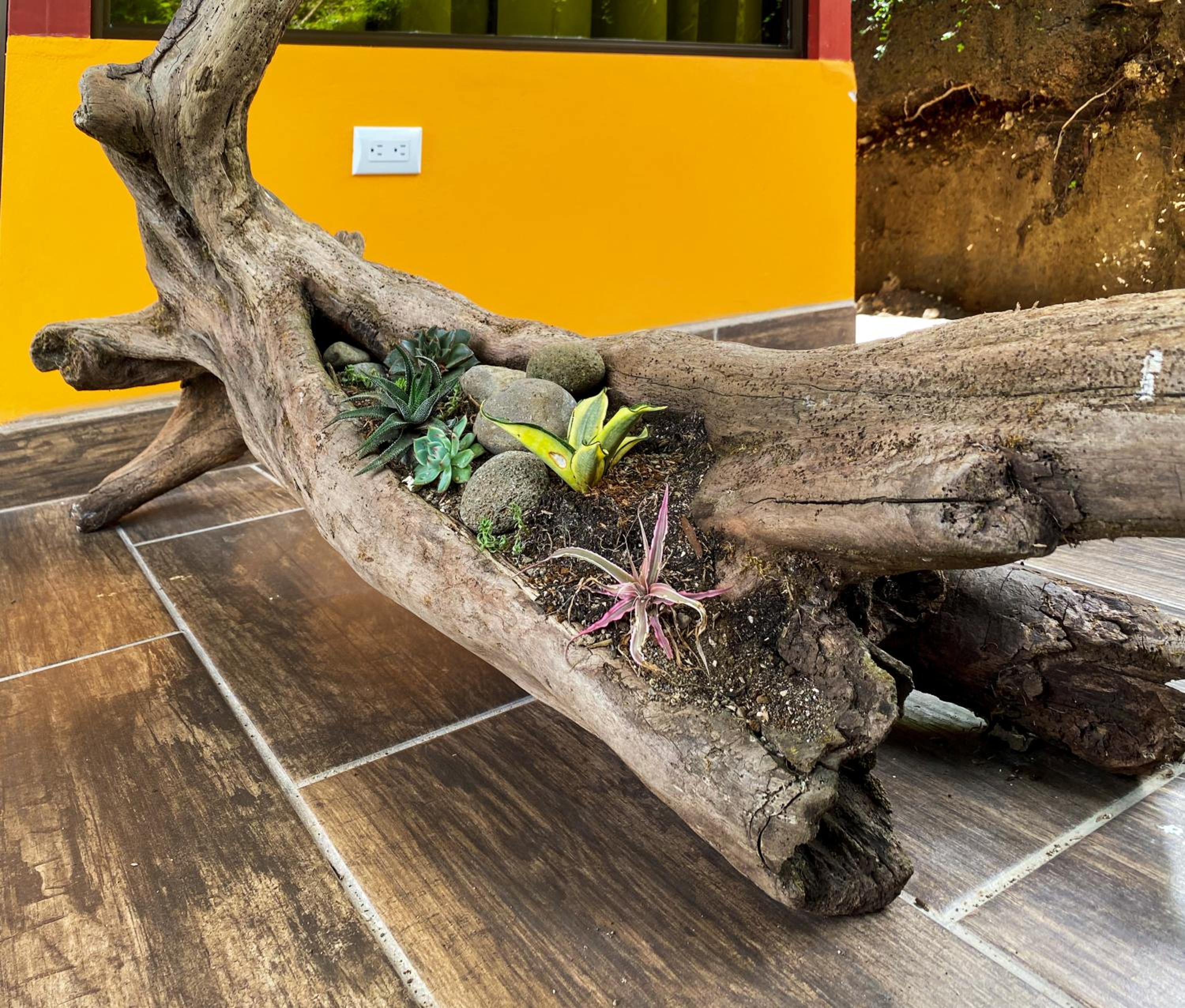 Arenal Garden Lodge