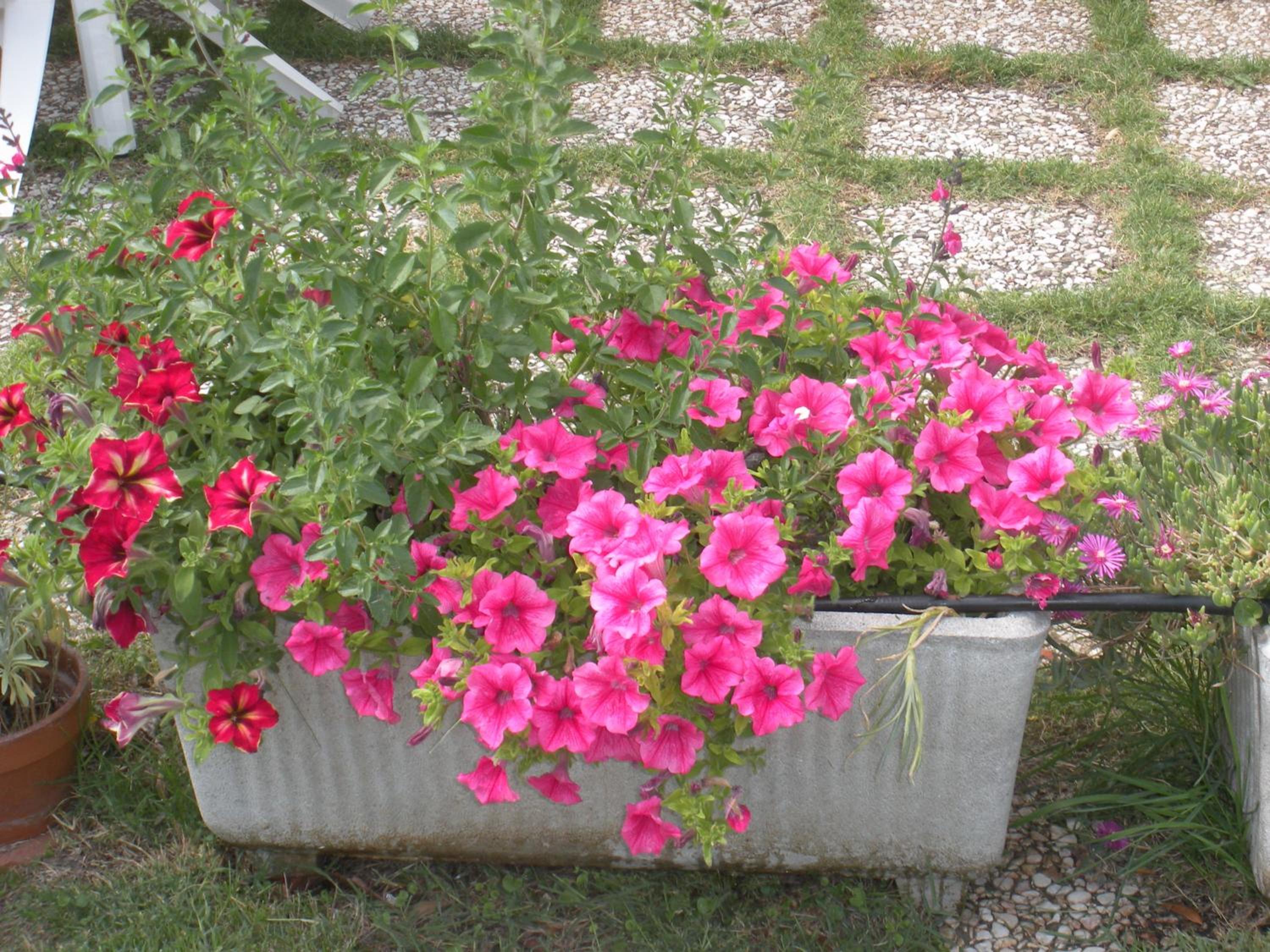 Agriturismo Le Rose
