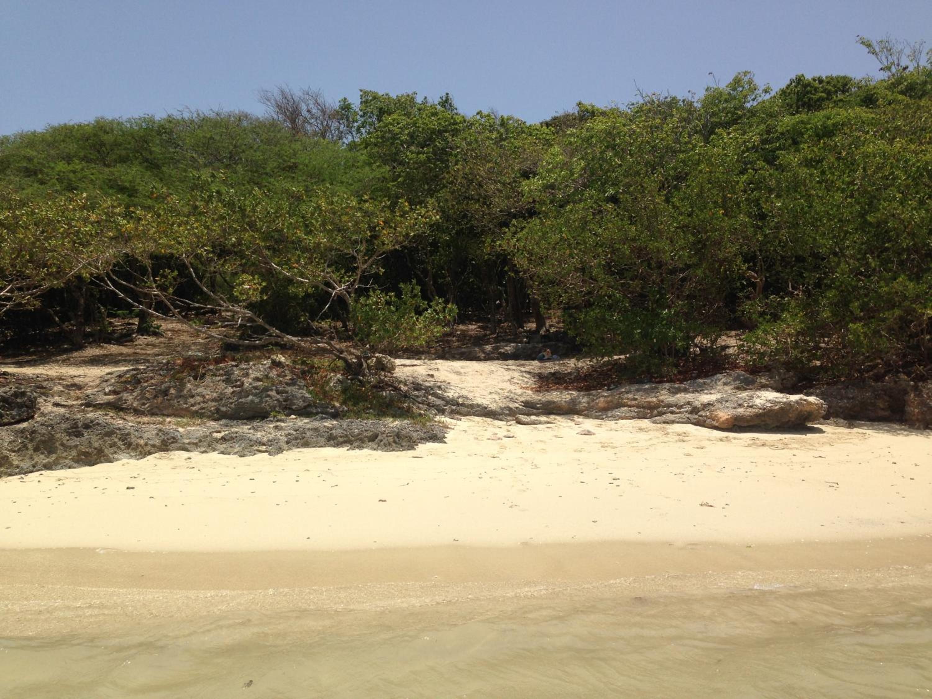 Photo 17