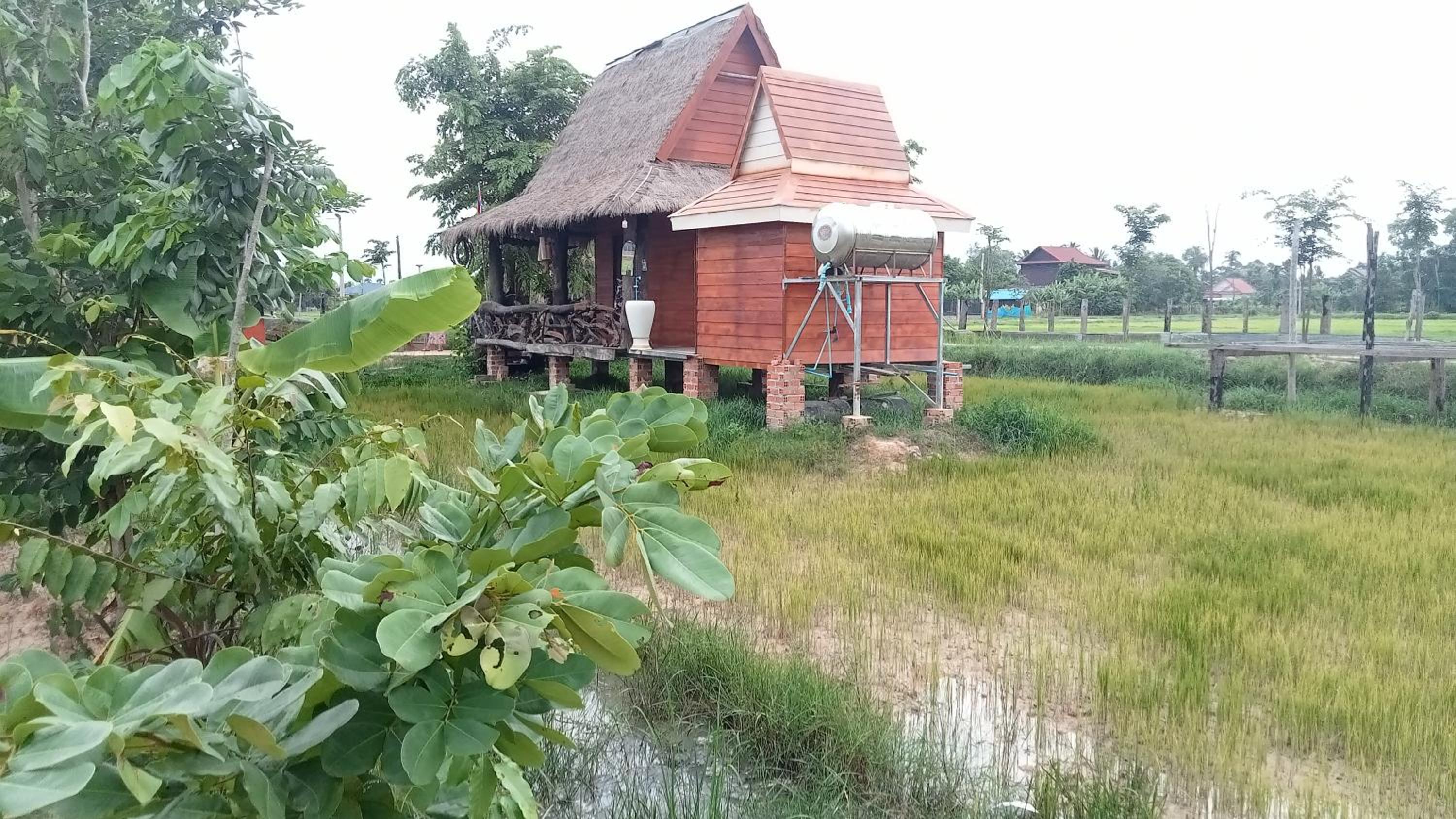 Photo 100