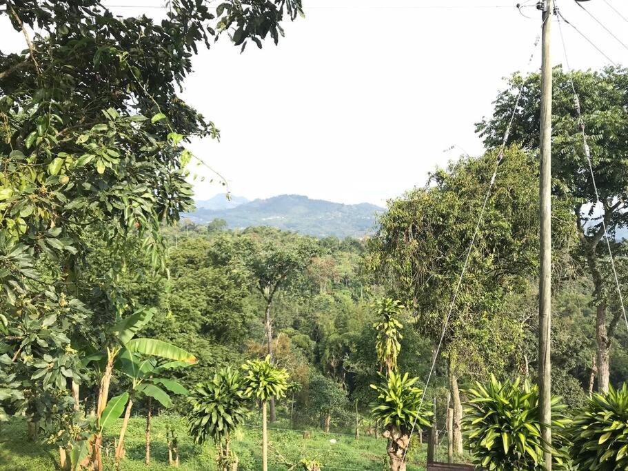 Finca el Mirador oasis de paz