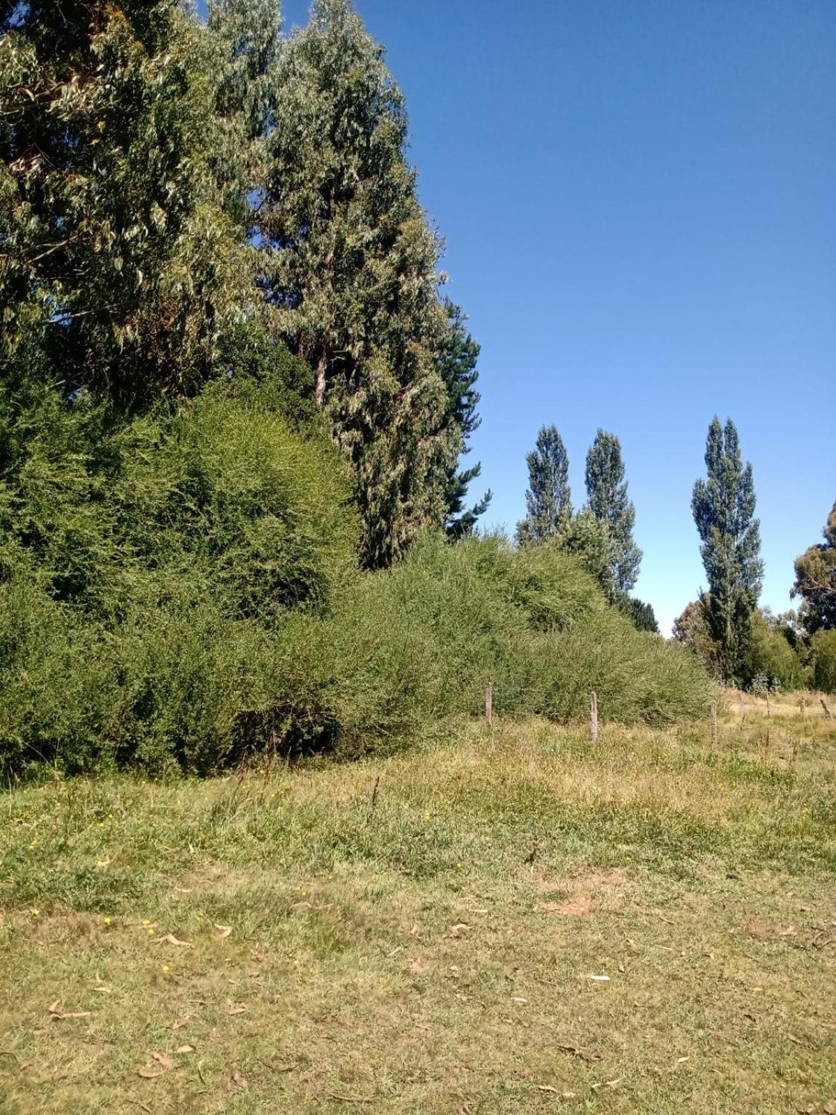 Cabañas Del Valle