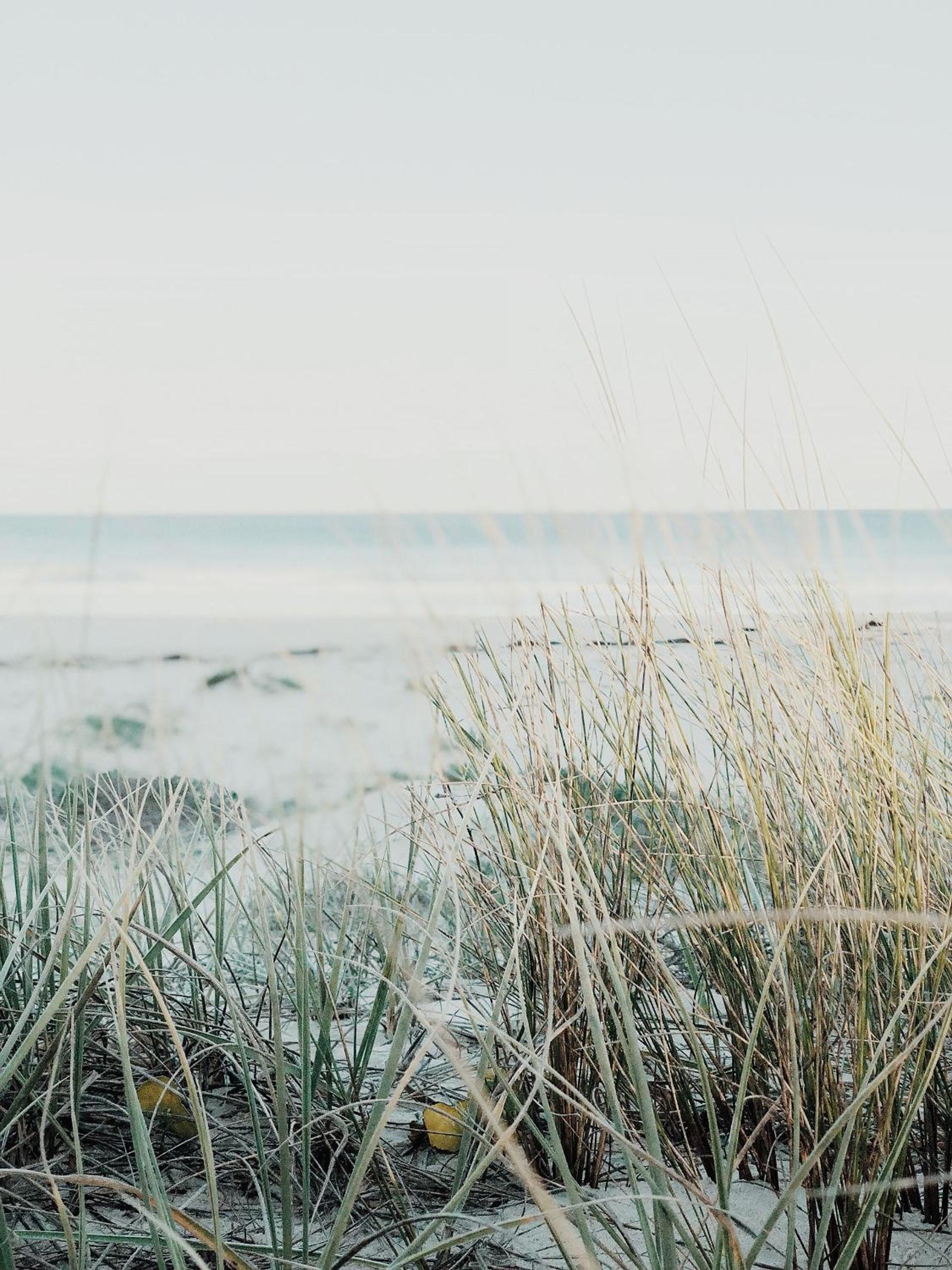 The Tasman Secret