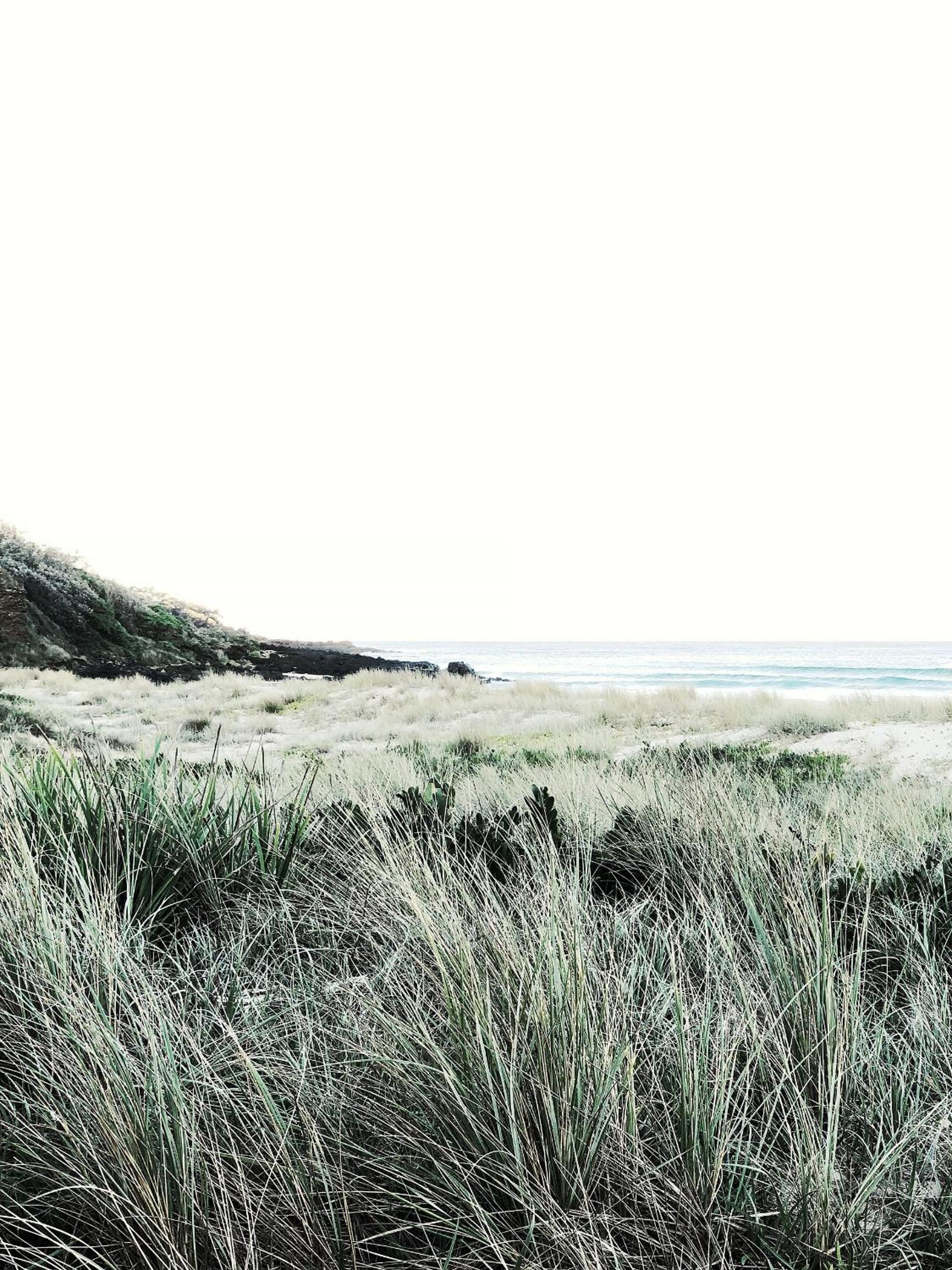 The Tasman Secret